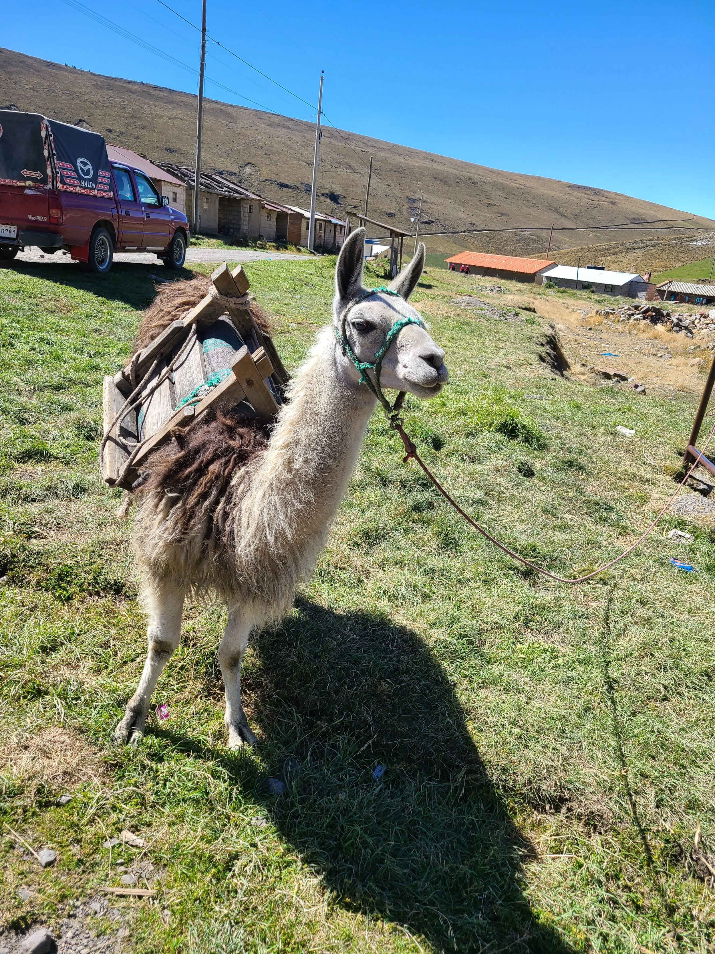 2025-12-08 09.58.59.jpg