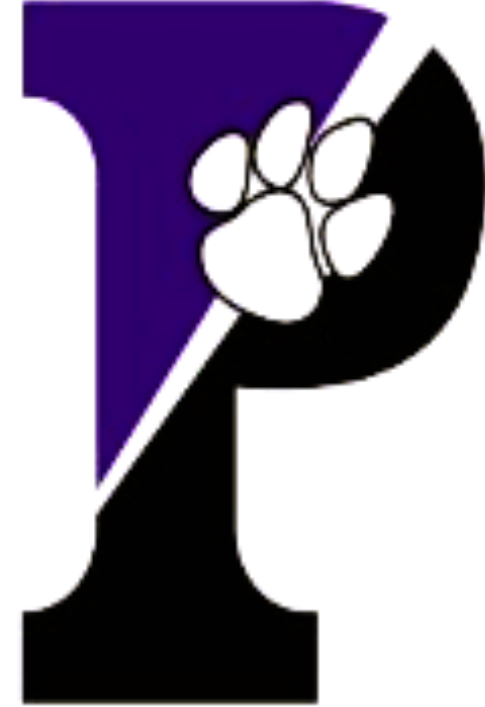 A stylized number 1 with a purple top, black bottom, and a white section; a white paw print is integrated into the upper part of the number.