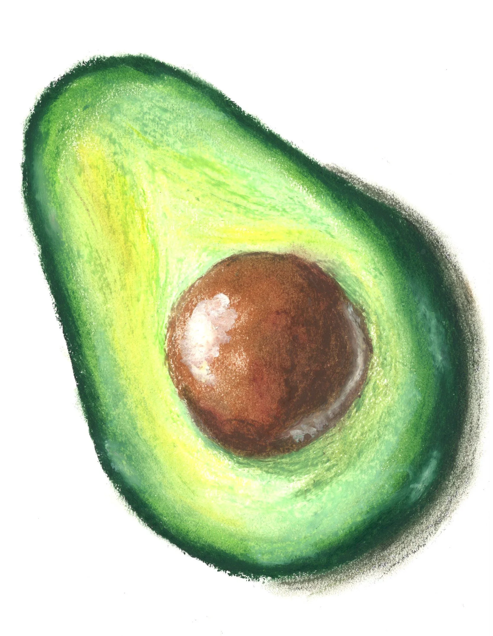 Avacado Halved Oil Pastel Drawing.jpg