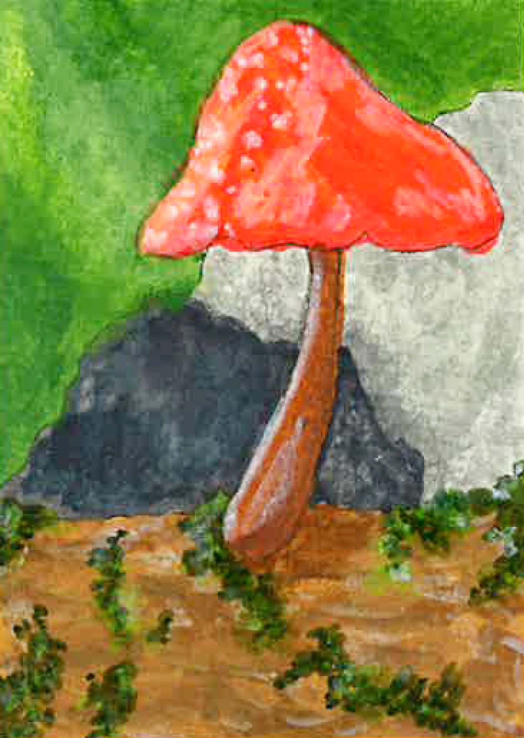 Mushroom on Log.jpg