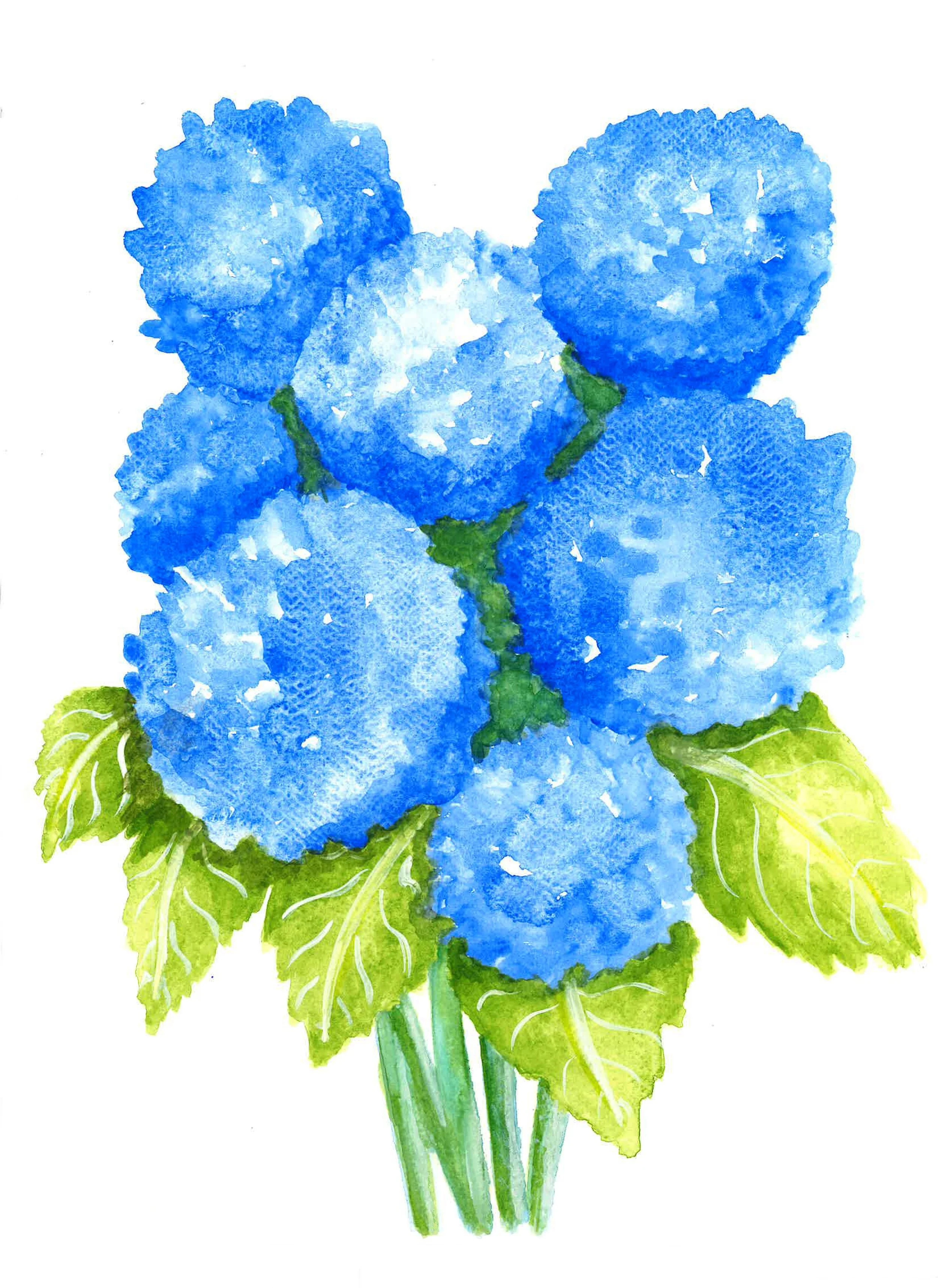 Hydrangea Watercolor Painting.jpg