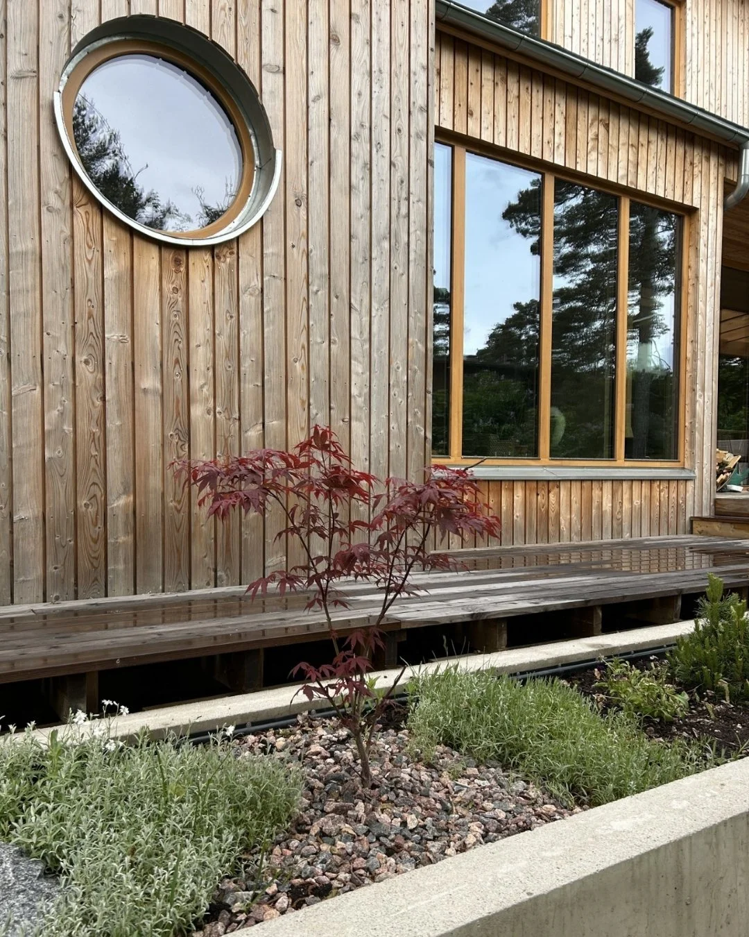 Puisen talon seinä ja istutuksia sen edessä