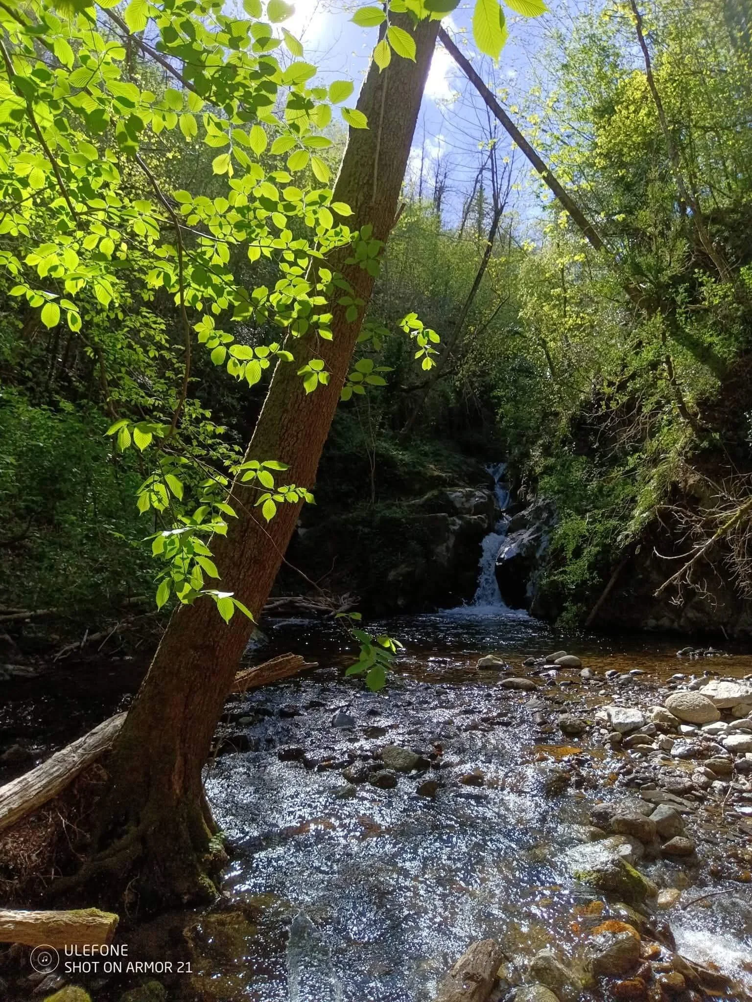 riviere-gite-datcha.jpg