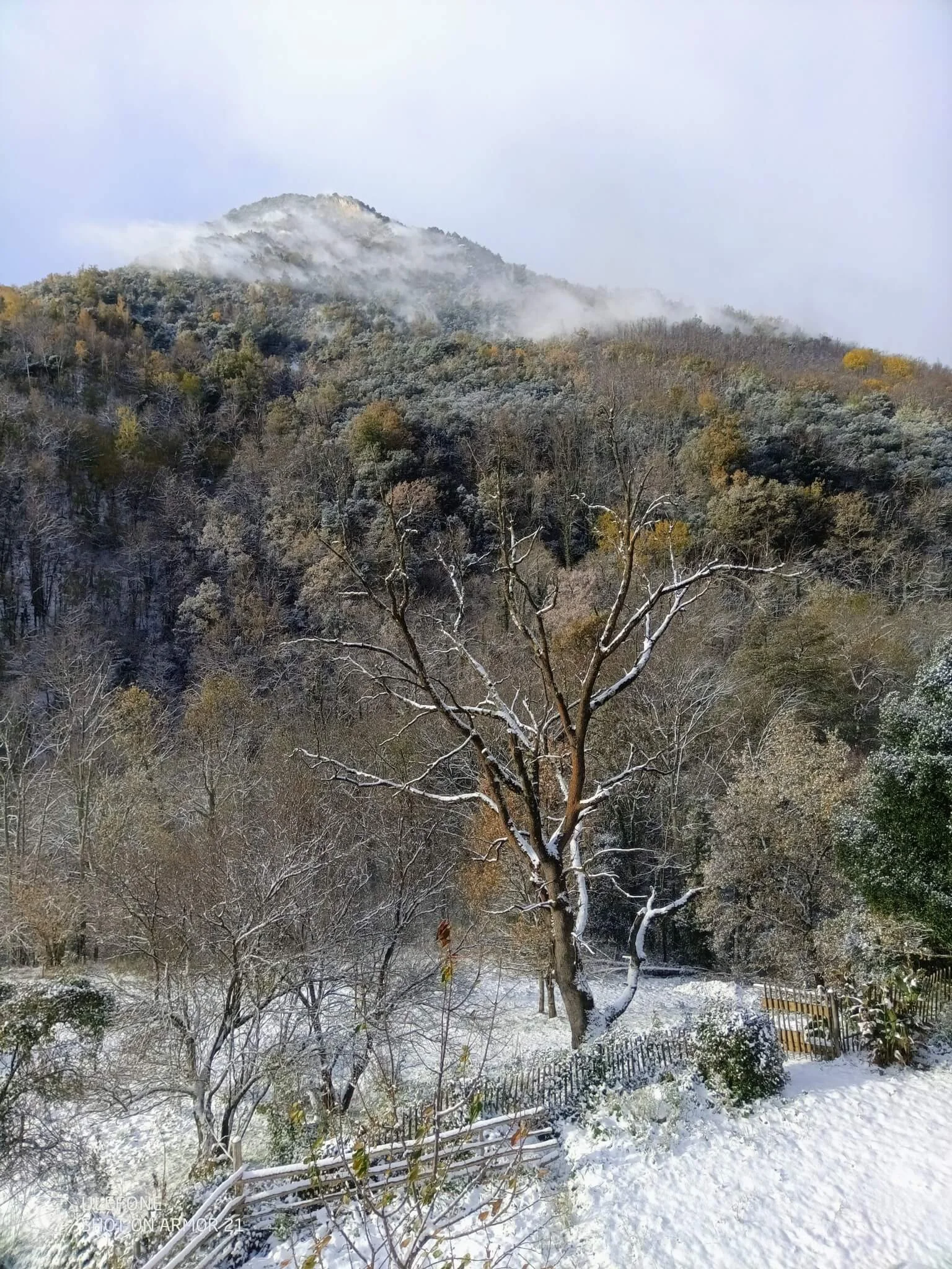 domaine-datcha-neige.jpg