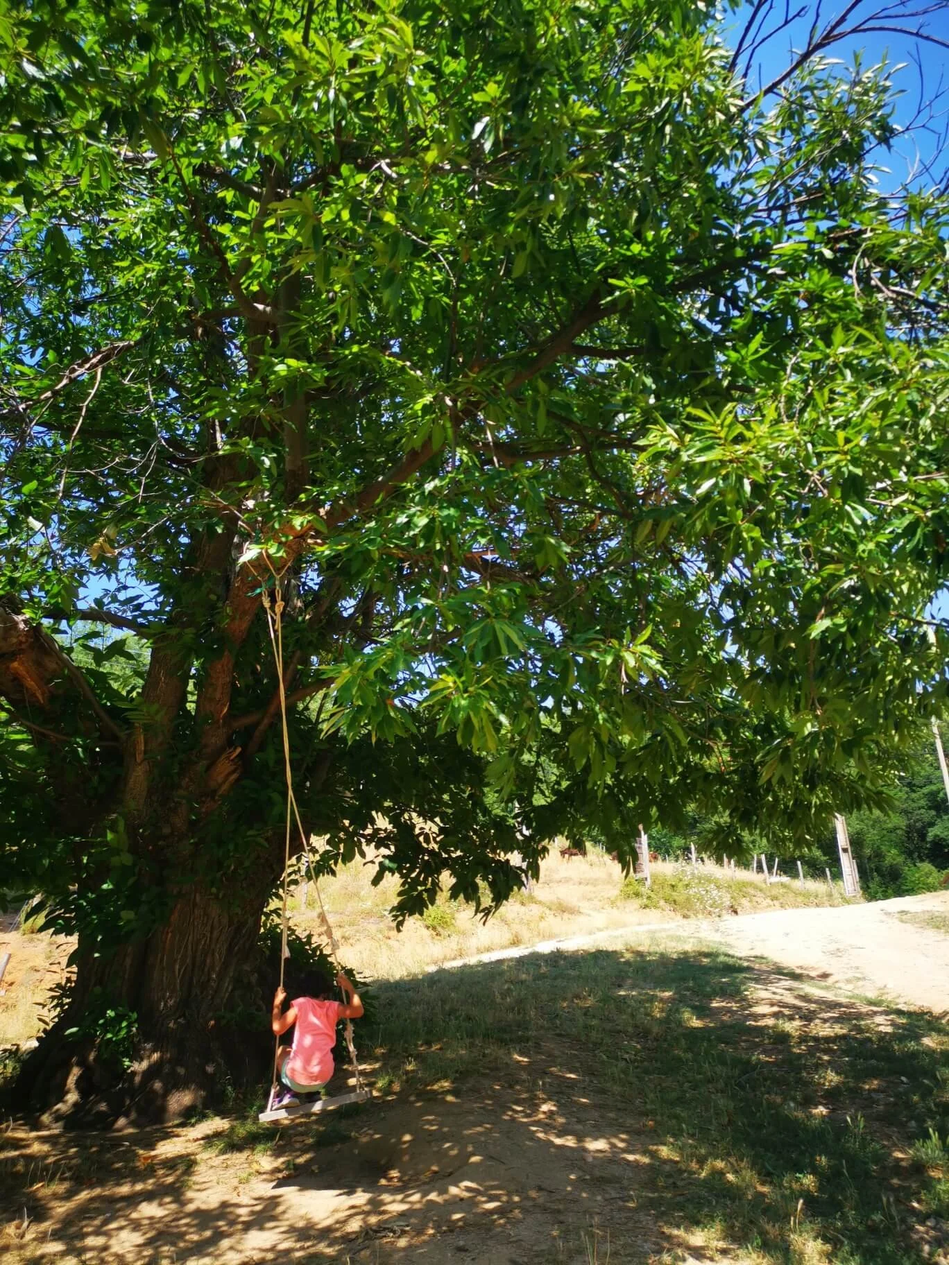 balançoire-gite-datcha.jpg