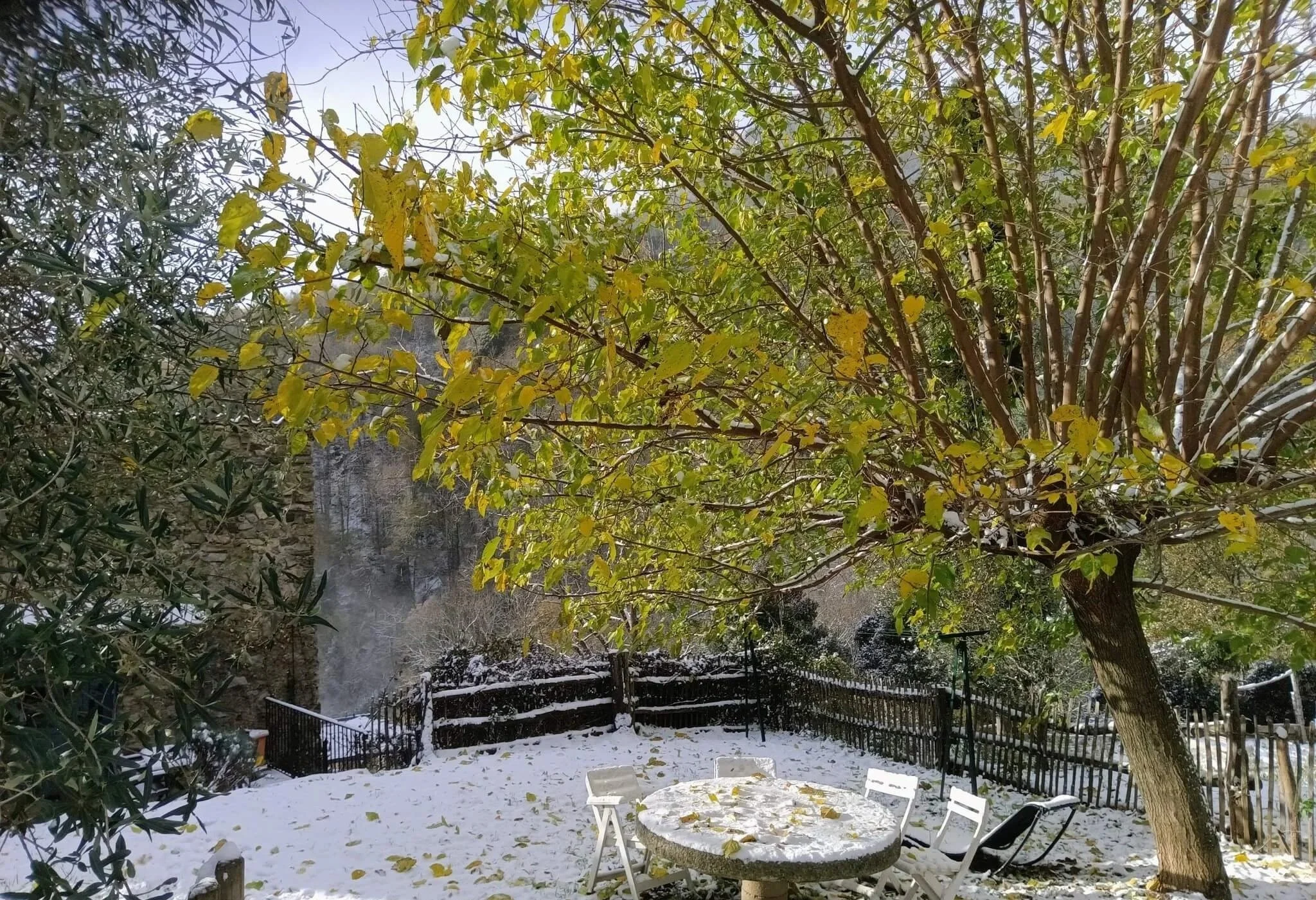 gite-marguerite-66-neige.jpg