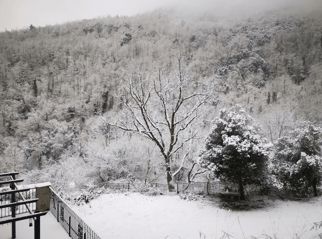 neige gite (2).png