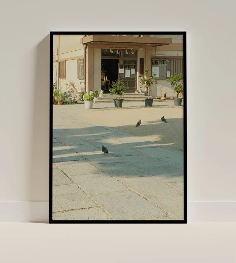 Pigeon-Frame-Poster-1.jpg