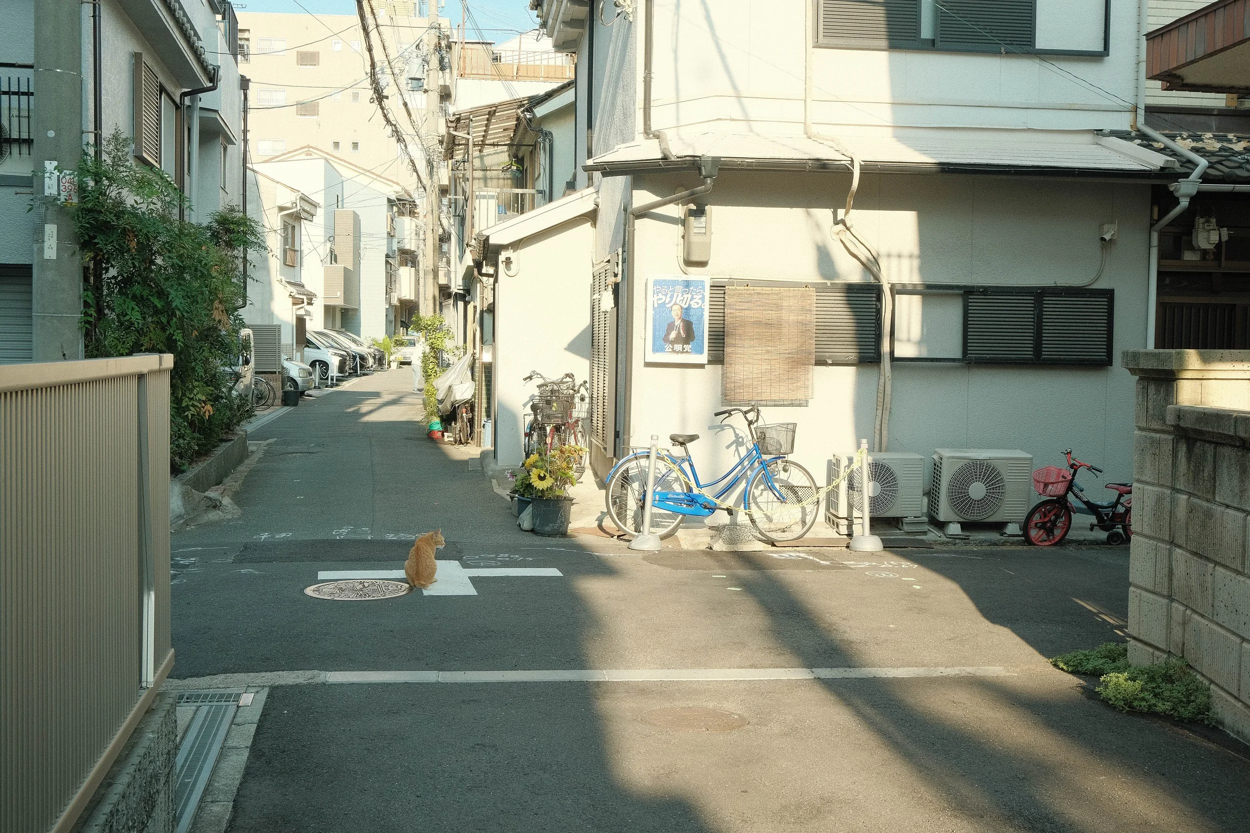 untitled shoot-647.jpg