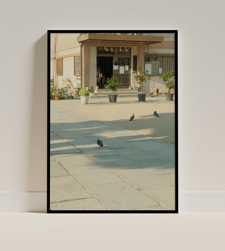 Photograph of an outdoor scene with pigeons on a paved ground in front of a building with step stairs and potted plants.