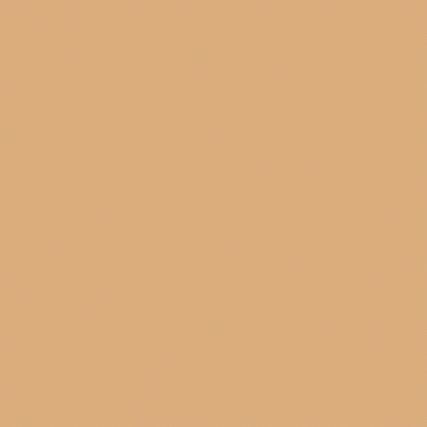 2_dcarroll_logoanimation.gif