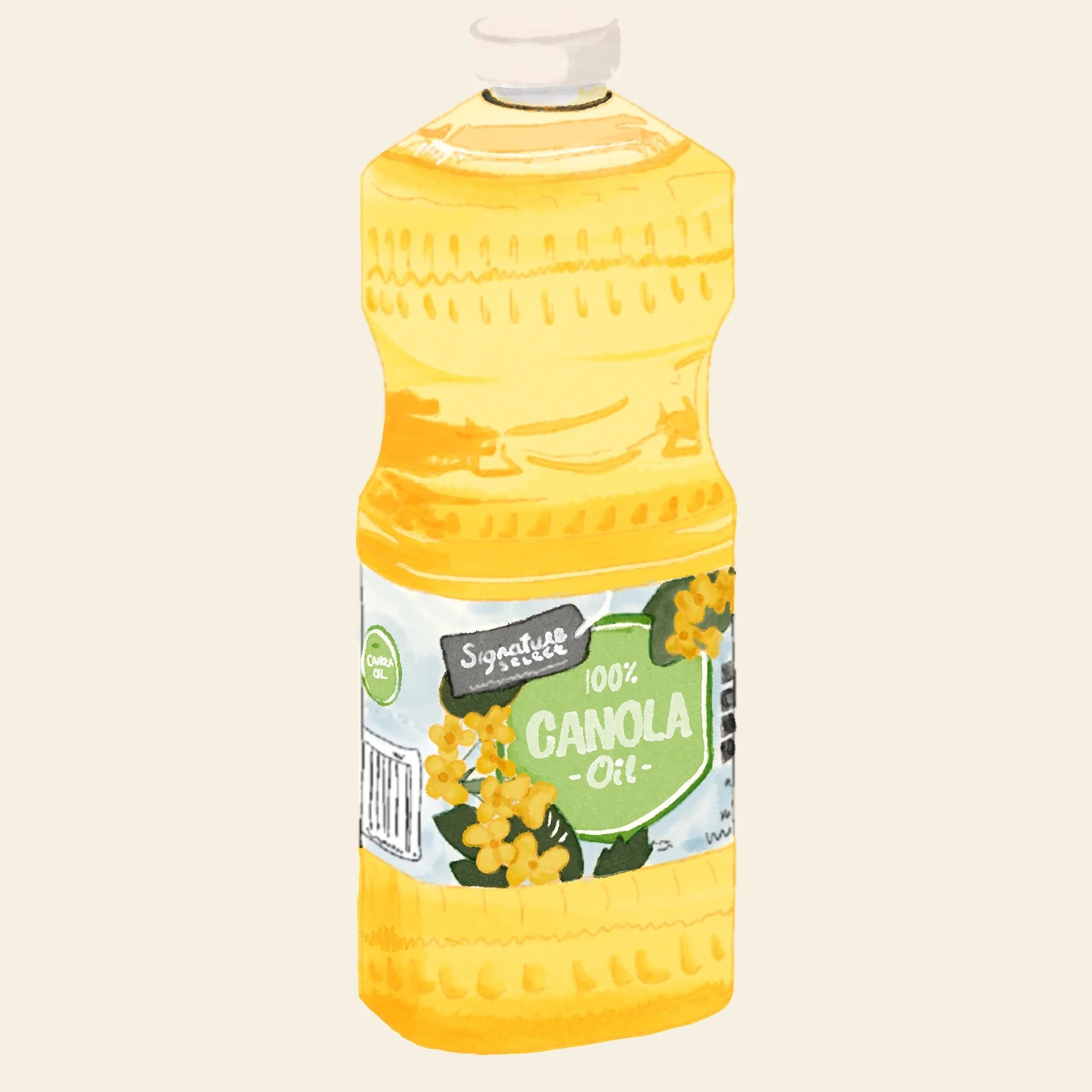 Watercolor illustration of a bottle of 100% canola oil with a yellow and green label featuring canola flowers.