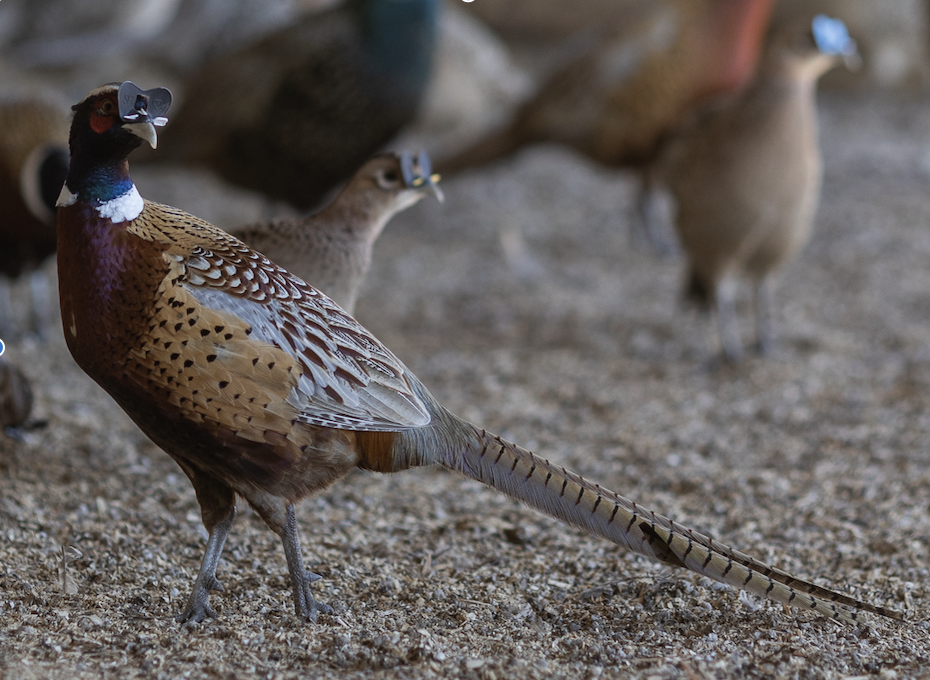 Screenshot 2026-02-20 at 3.58.21 PM.png