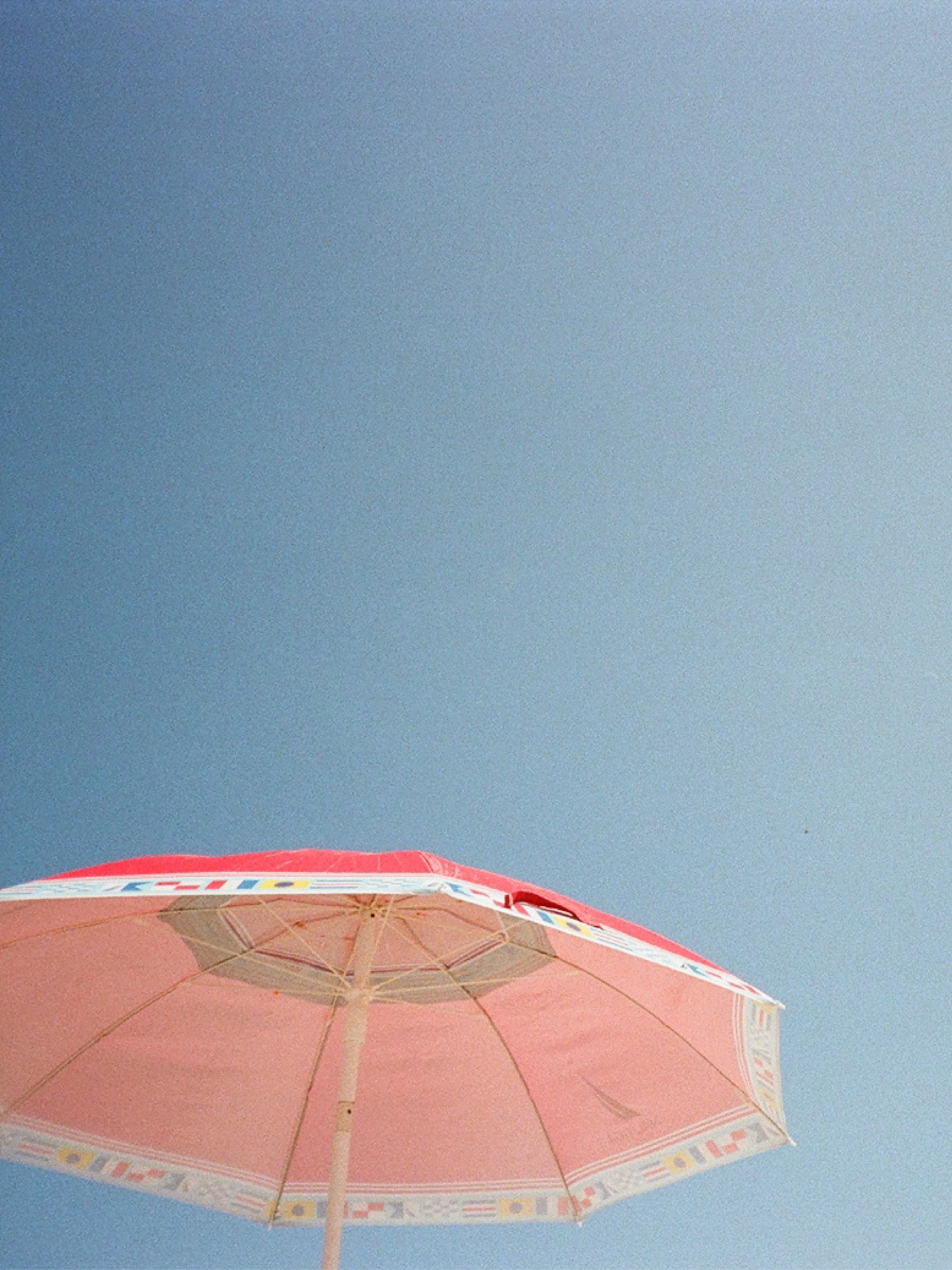 film23.jpg