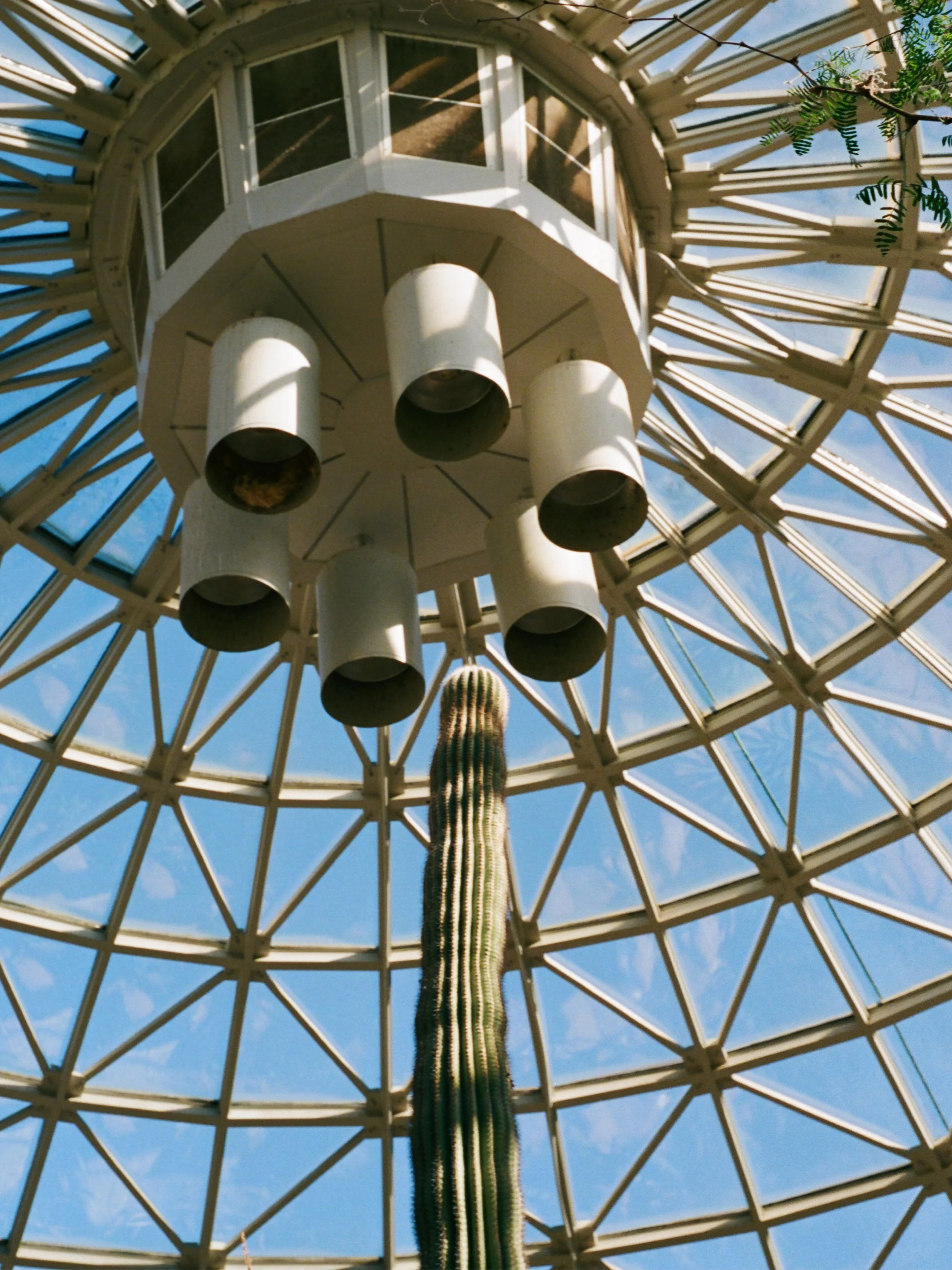 film14.jpg