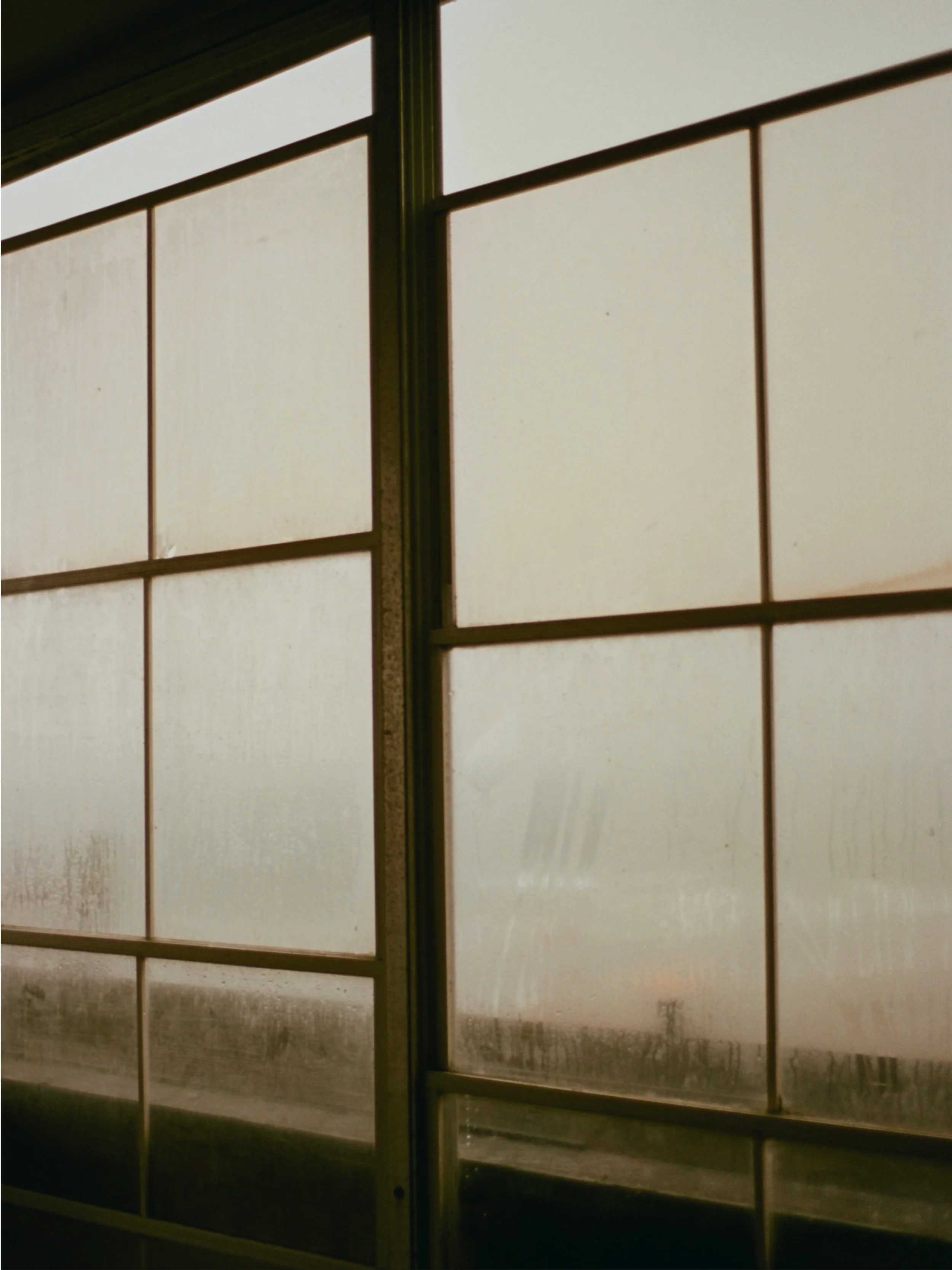 film21.jpg