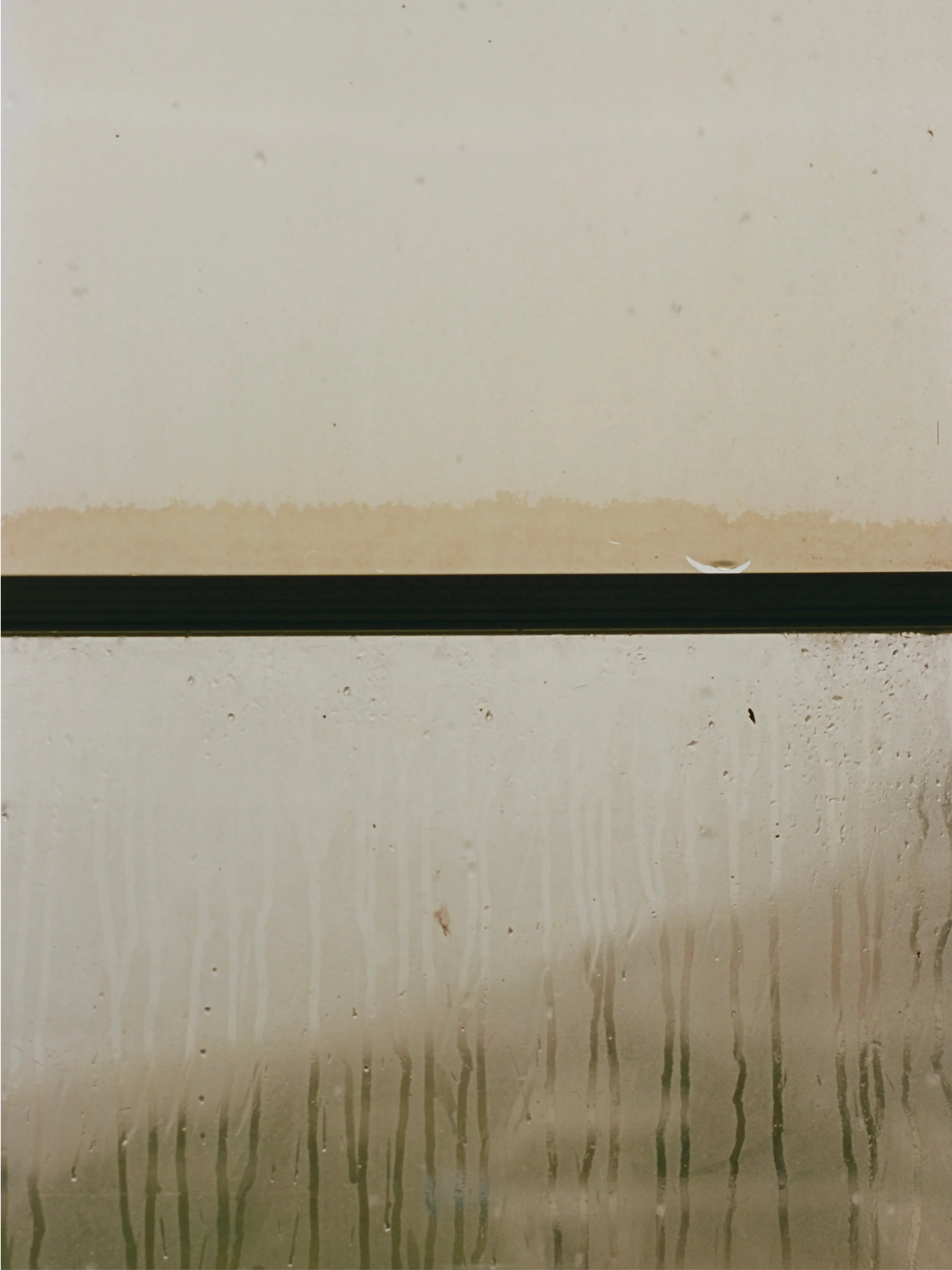 film22.jpg