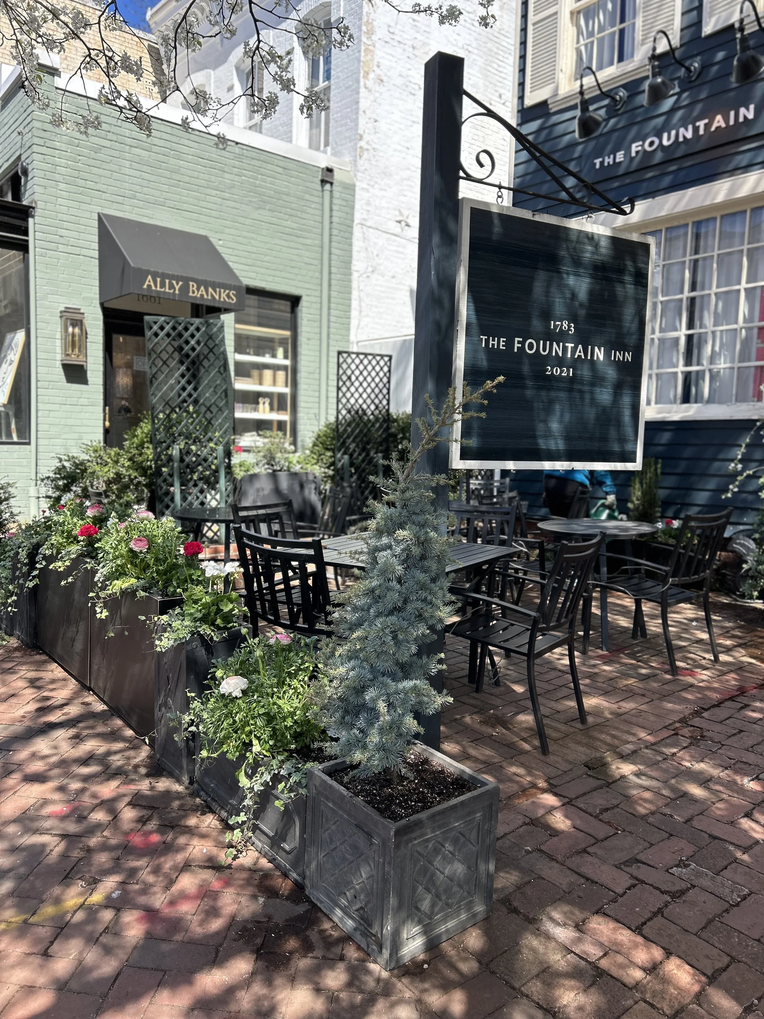 Landscaping + Garden Care