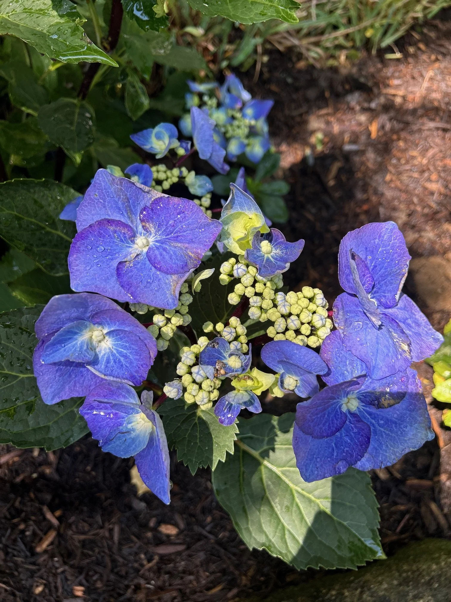 IMG_6502.jpeg