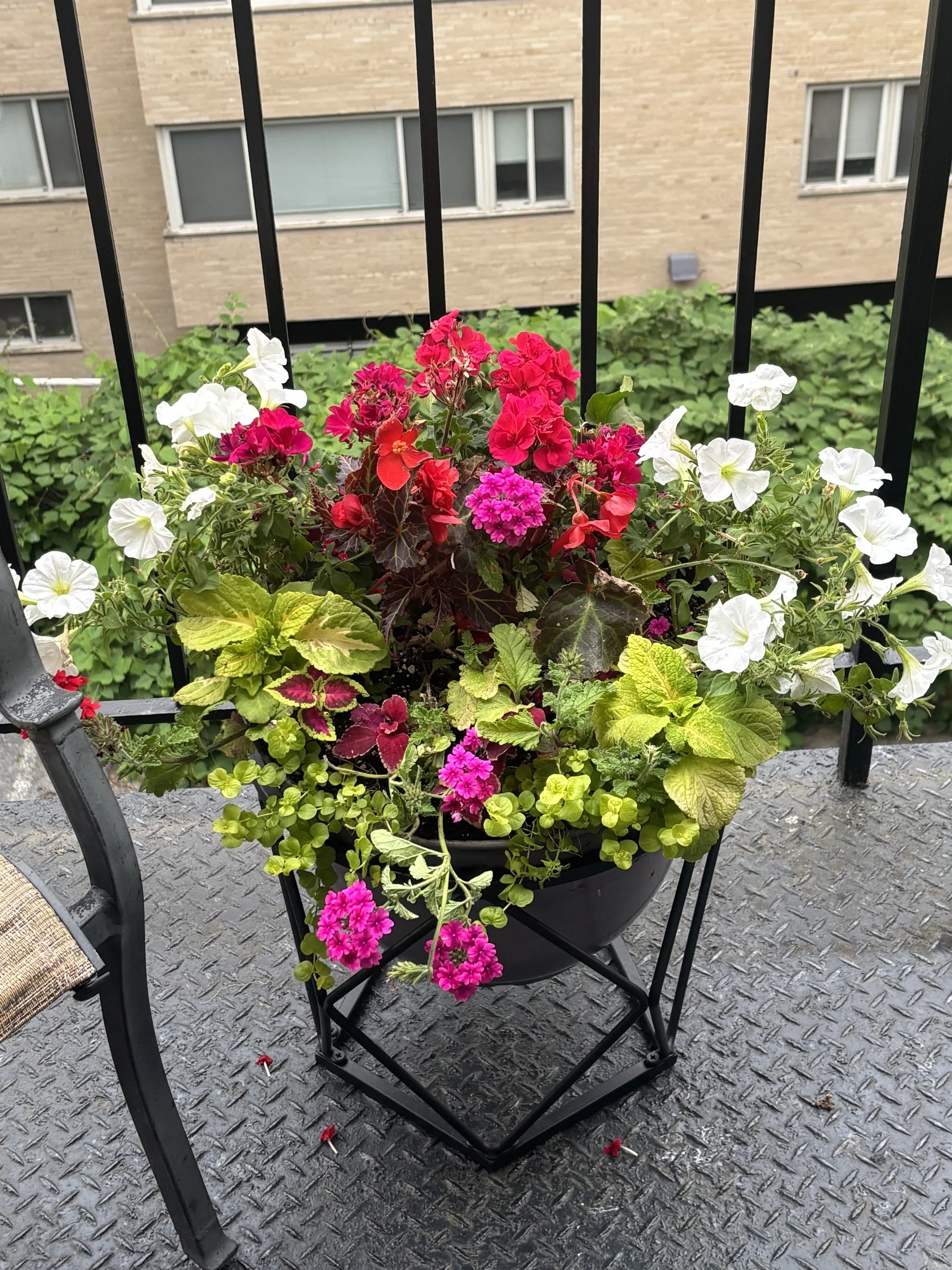 IMG_6525.jpeg