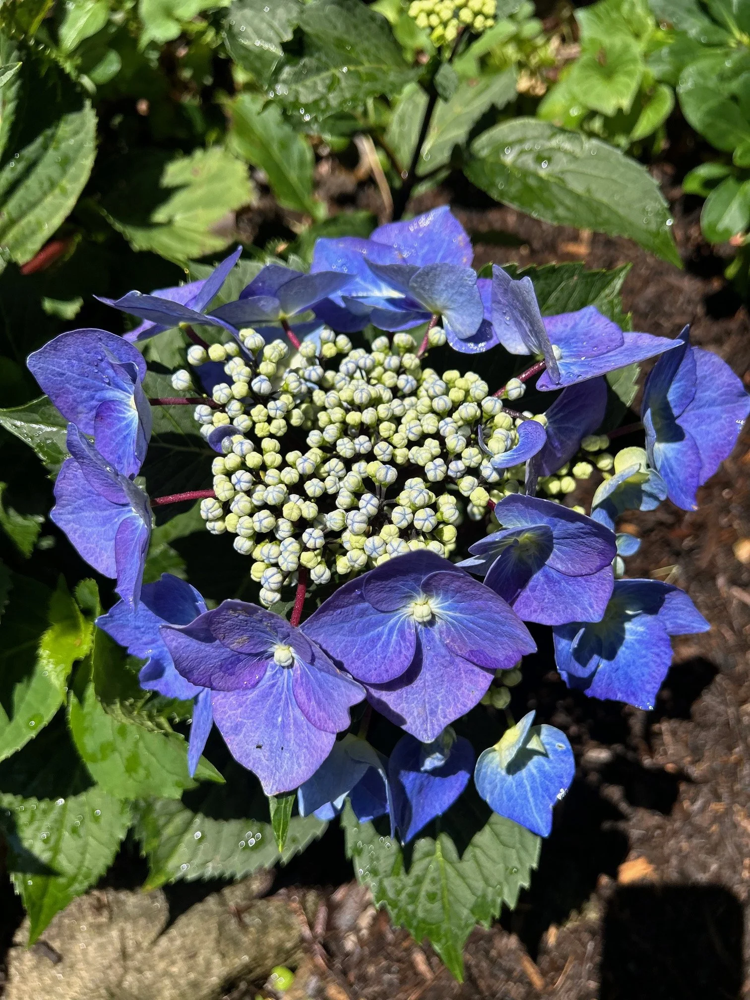 IMG_6504.jpeg