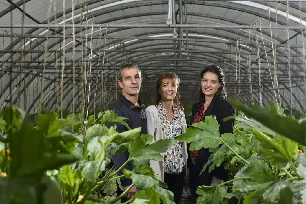 Three people, two women and one man, standing inside a greenhouse with green leafy plants in the foreground.