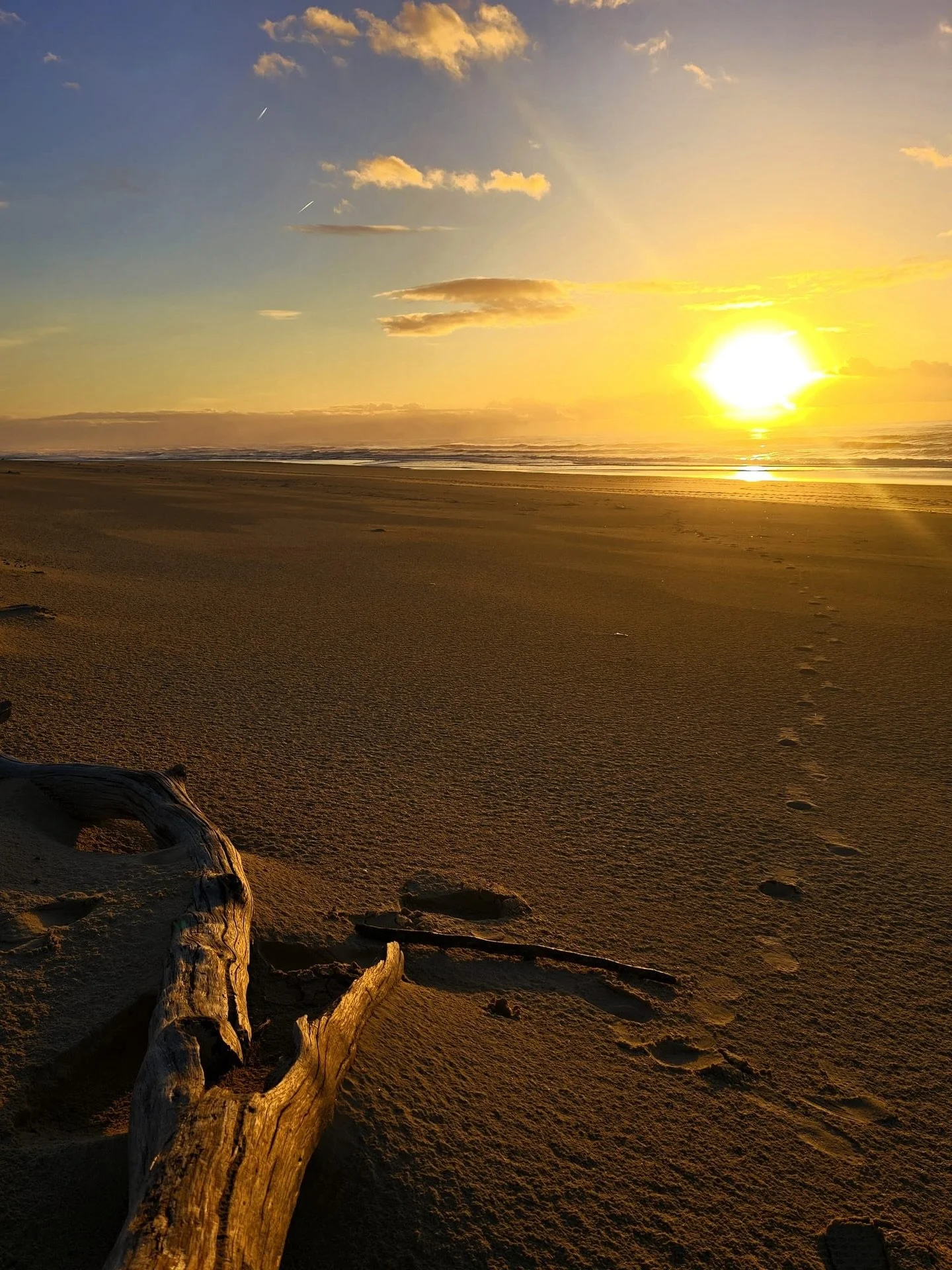 Sunset.
.
.
.
.
#sunset #leslandes #atlantique