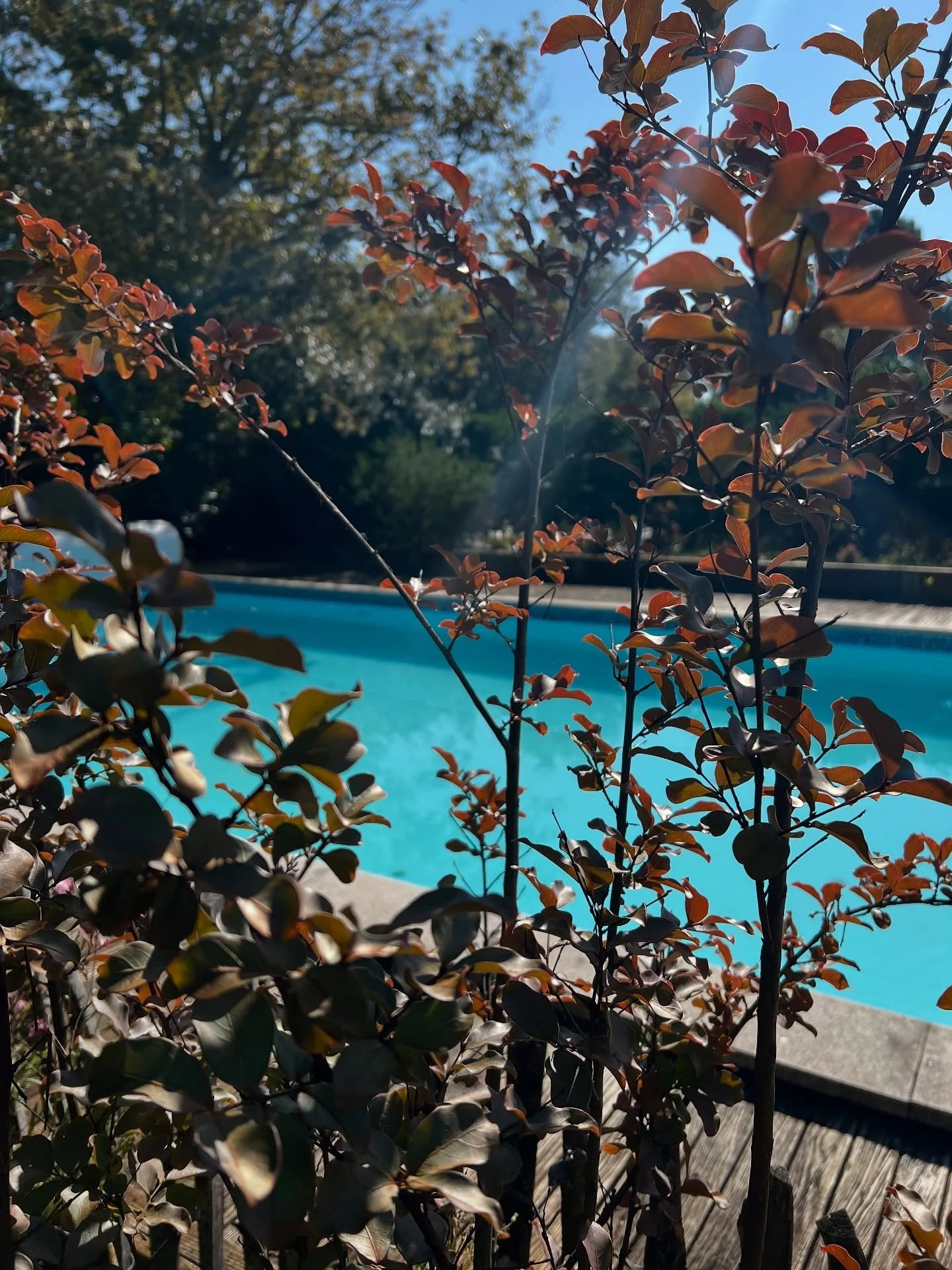 L&rsquo;&eacute;t&eacute; indien.Hate d&rsquo;accueillir @sabrina_myholiyoga pour la retraite d&rsquo;automne 🧘🏻☀️