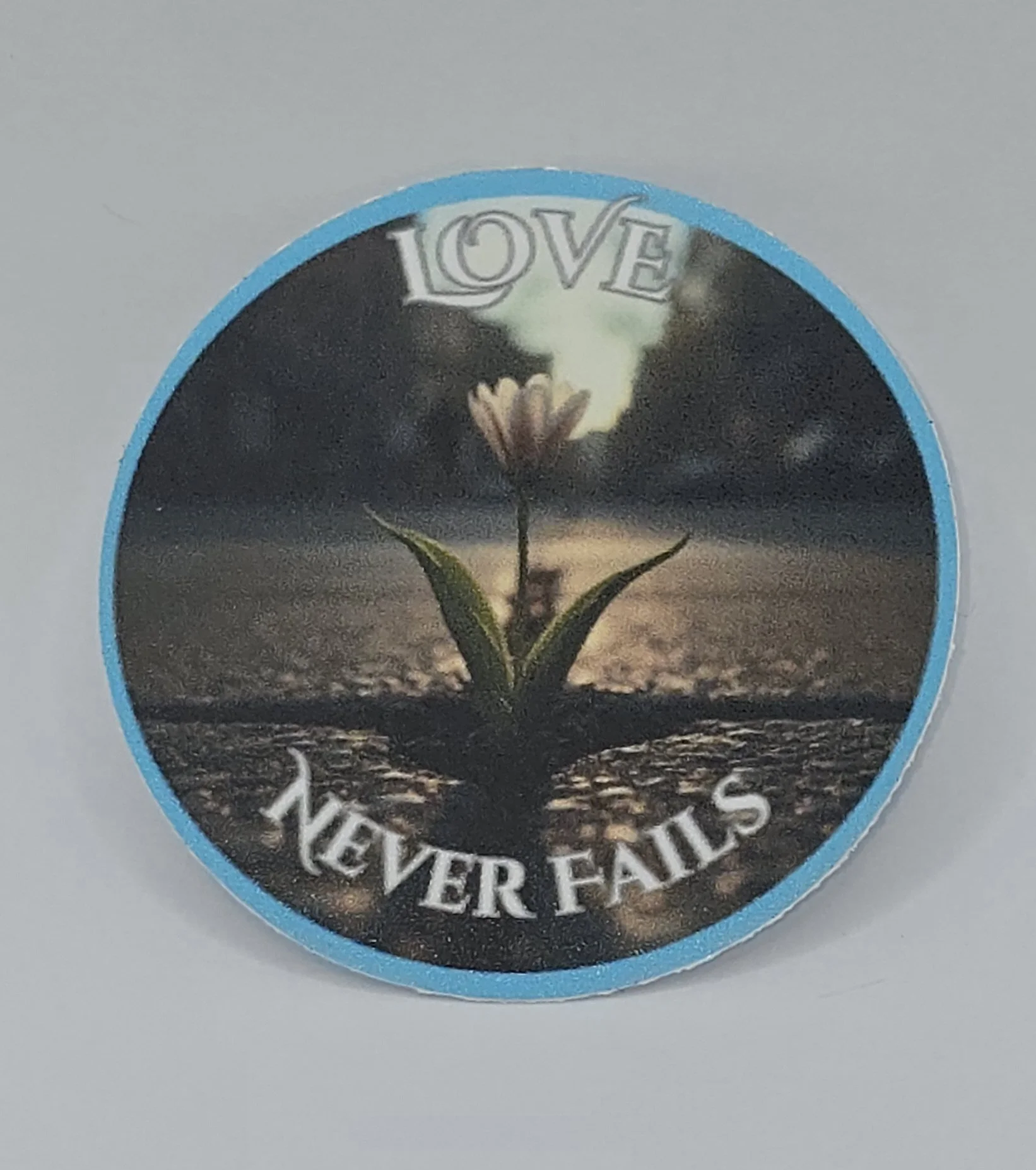 1000086512.jpg