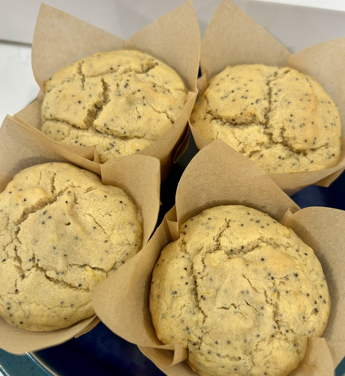 Lemon Poppy Seed Muffins
