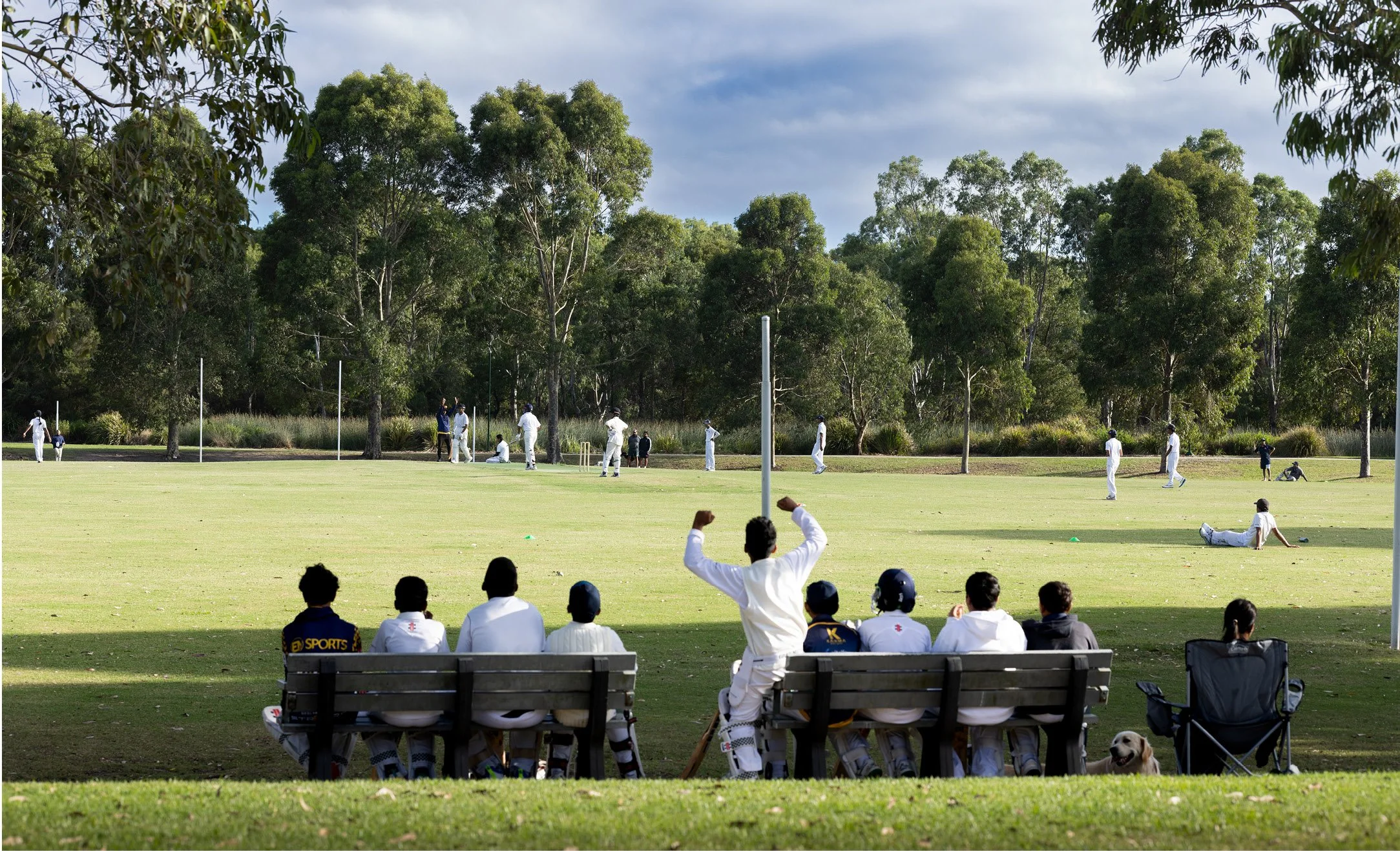 A cricket match in progress with players on the Banjo Patterson Reserve field, spectators seated on benches, and a person celebrating while sitting on the bench. The scene takes place in a park-like setting with tall trees and a cloudy sky.