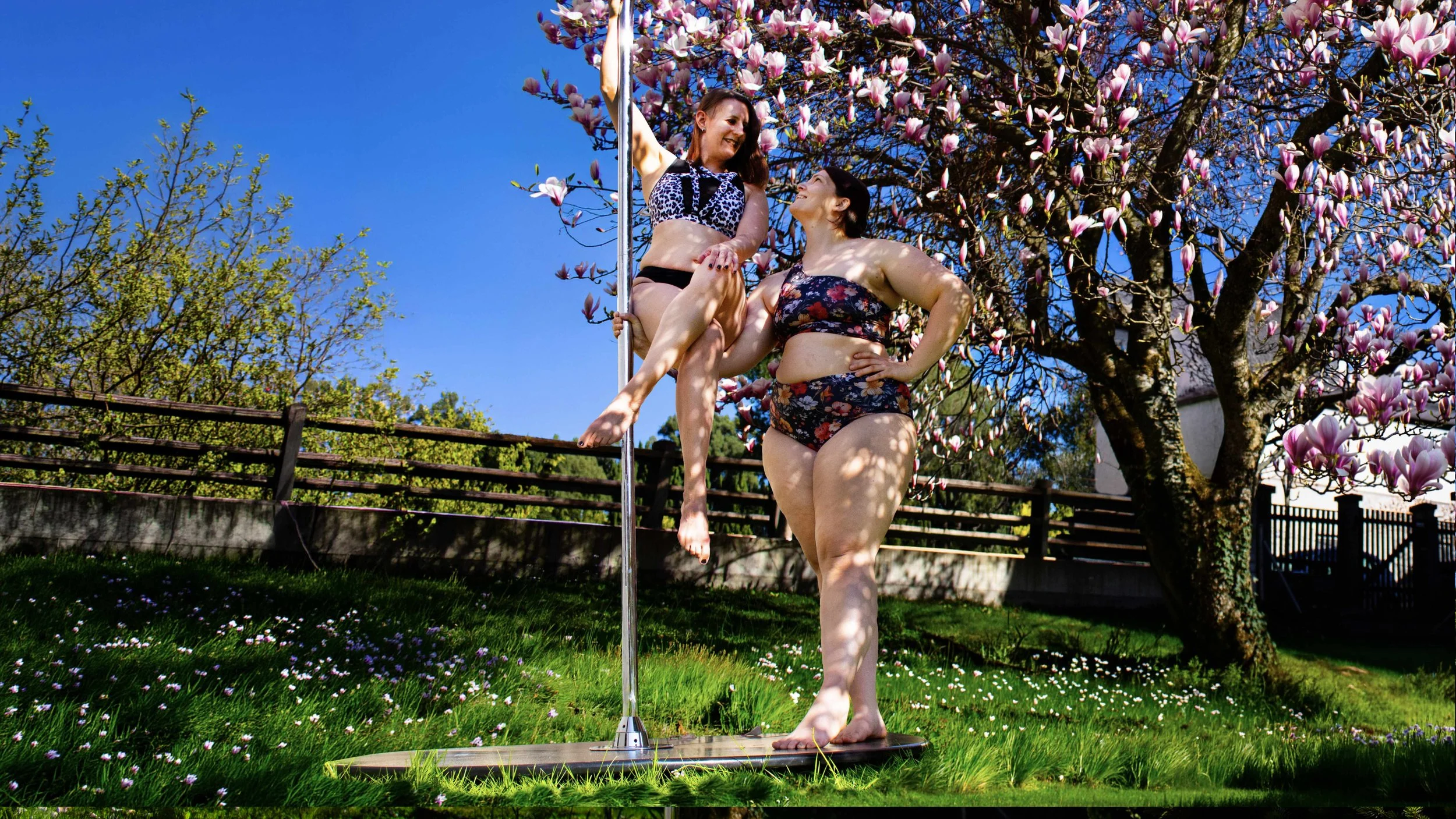 Double Pole Dance