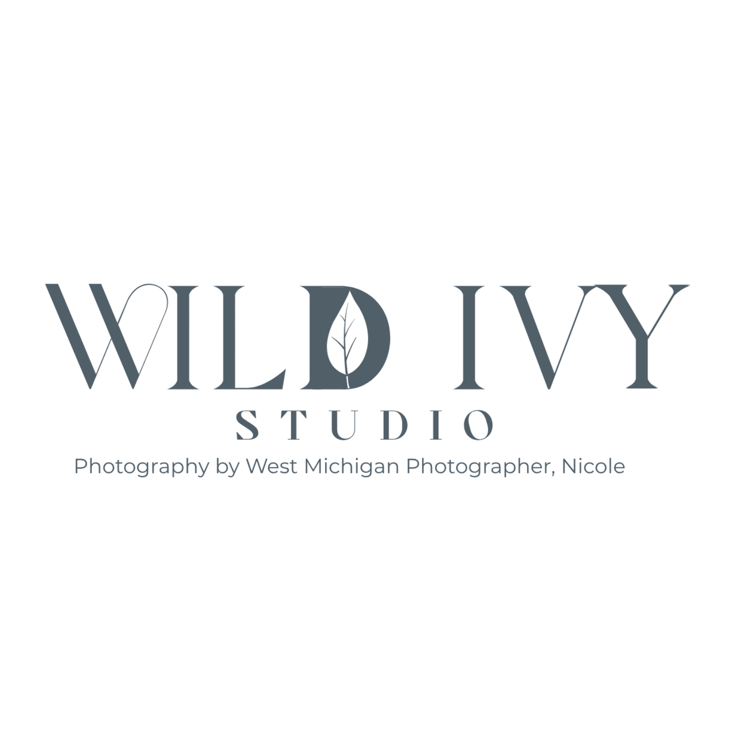 Wild Ivy Studio LLC