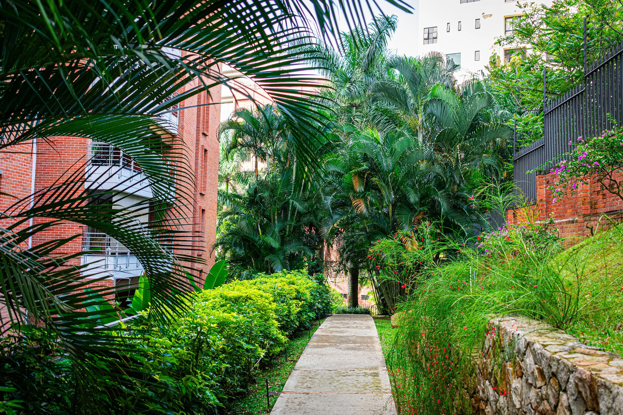 Portal-Quebrada_-46.jpg