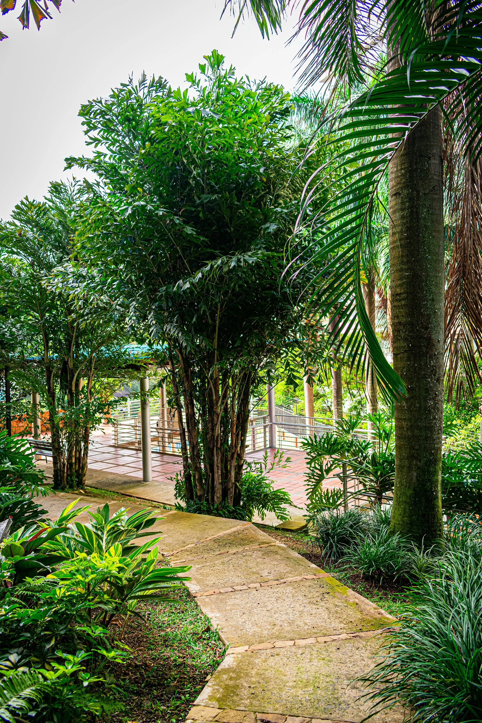 Portal-Quebrada_-23.jpg