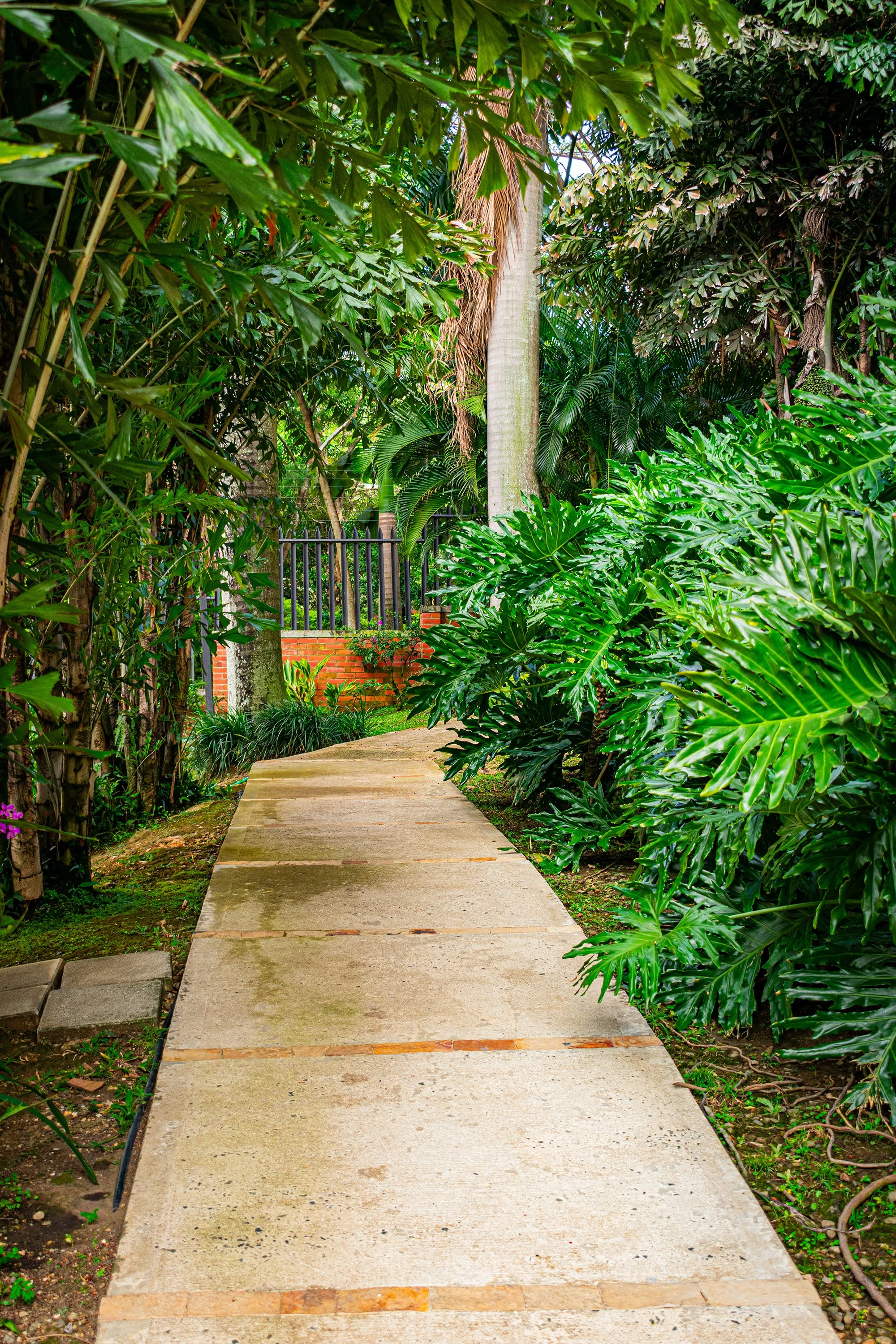Portal-Quebrada_-47.jpg