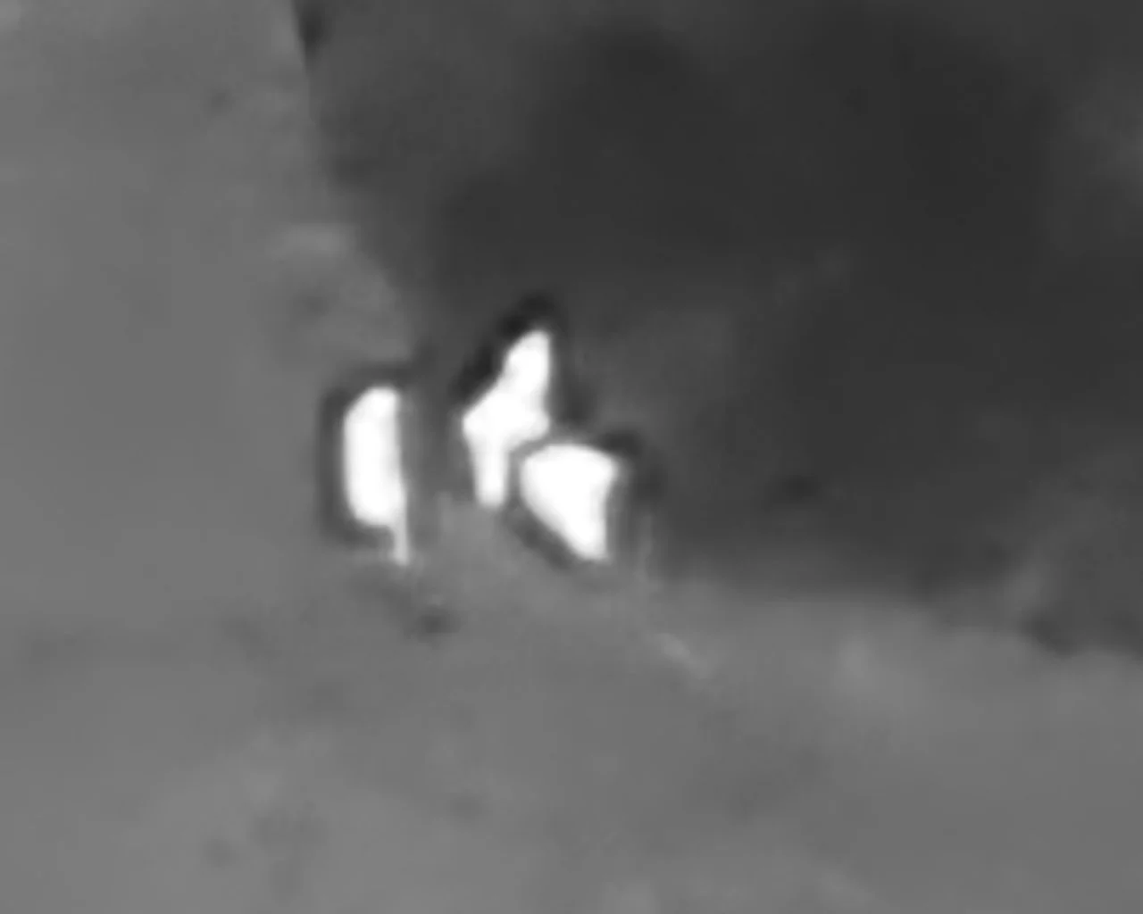 Your Neighbor in the Sky: Lost Pet Search and Deer Recovery from Right Here in the Hereford Zone