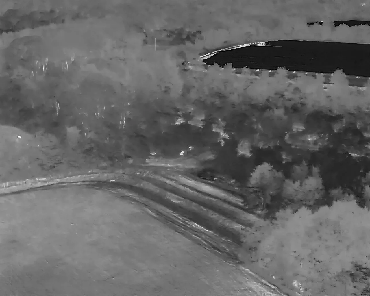 DJI_20260905071352_0001_T.JPG