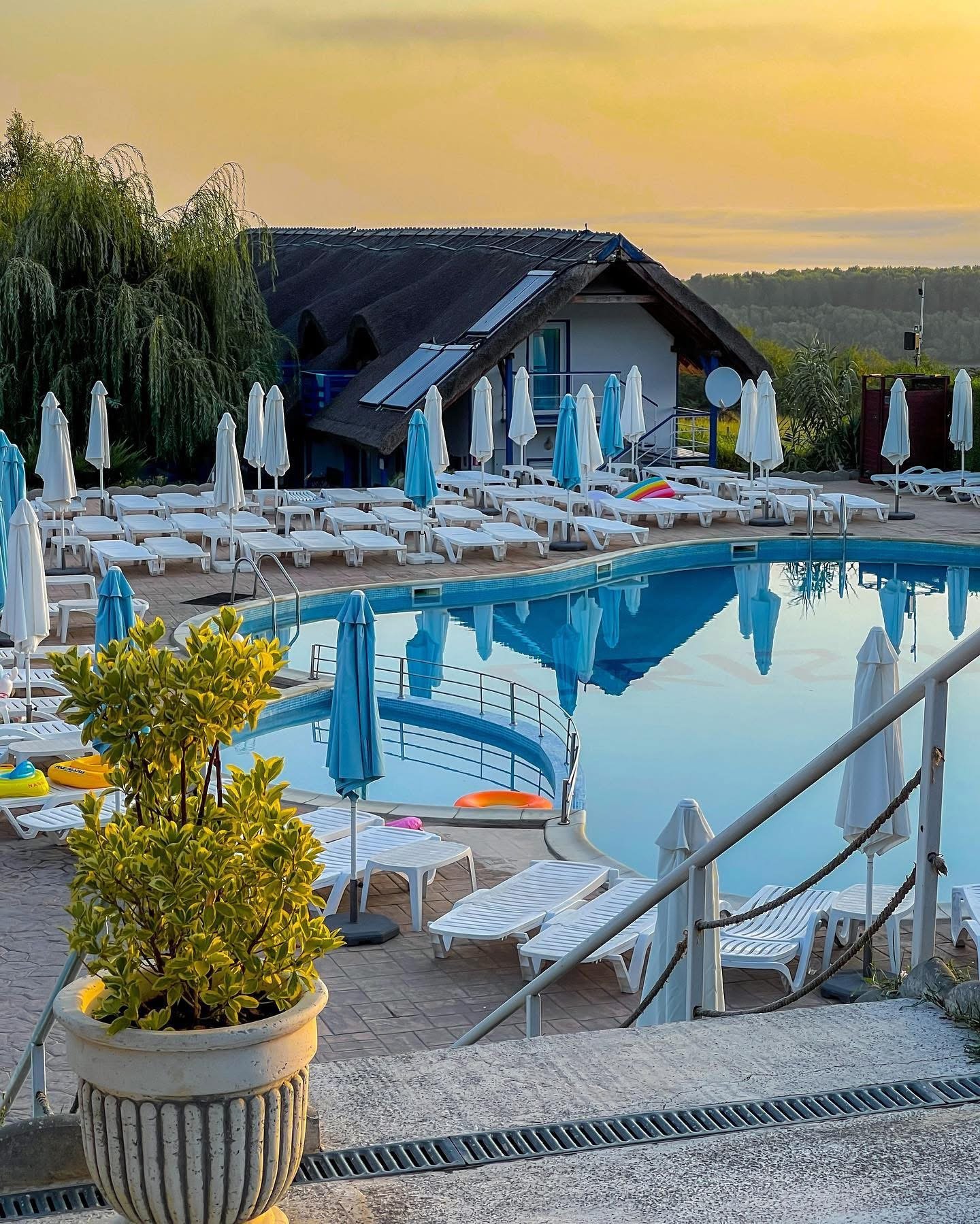 Empty outdoor swimming pool surrounded by white lounge chairs and umbrellas, with a potted plant in the foreground and a thatched roof building in the background during sunset.