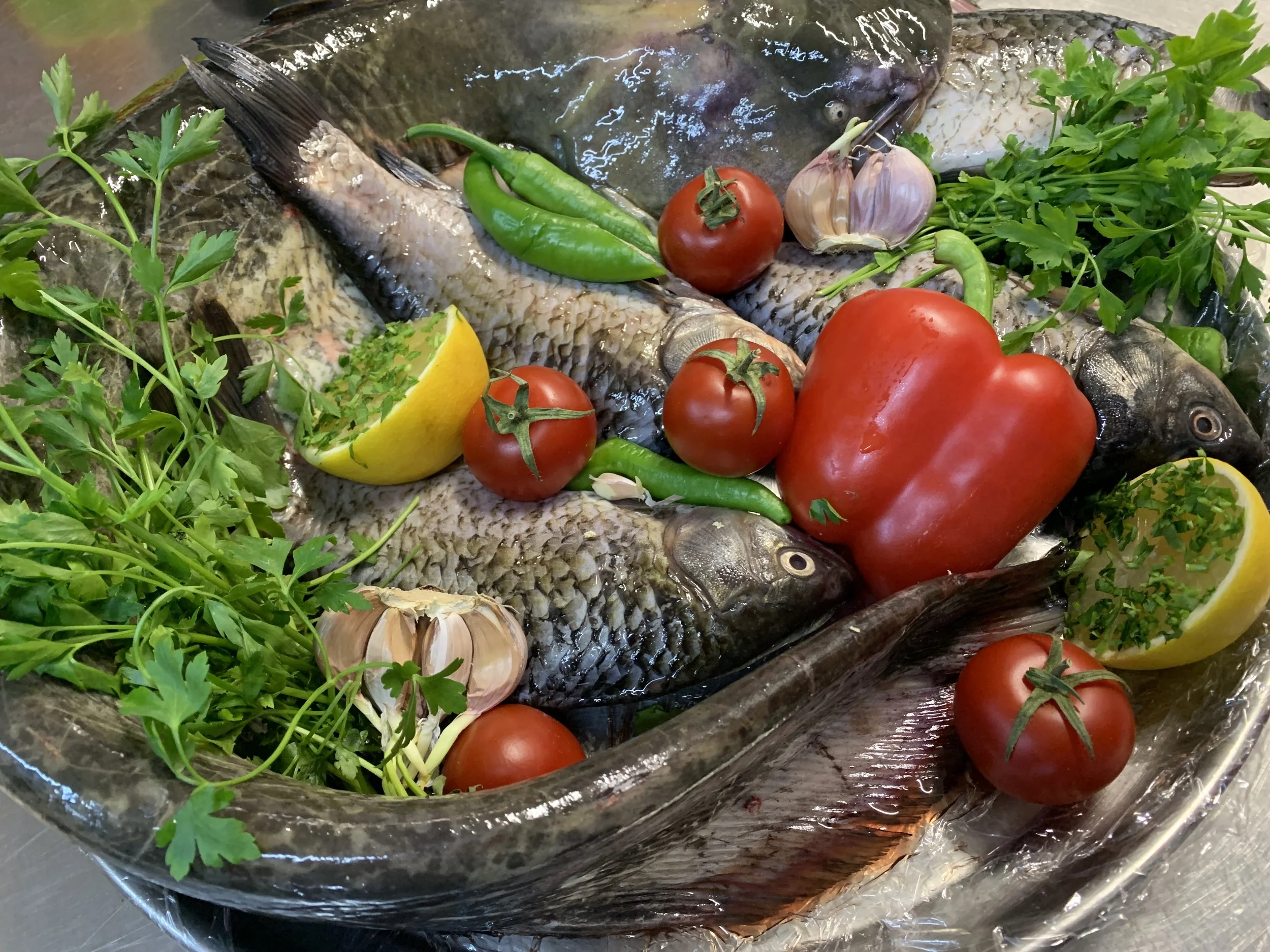 Fresh fish with tomatoes, lemon, garlic, green peppers, and herbs on a tray, prepared for cooking.