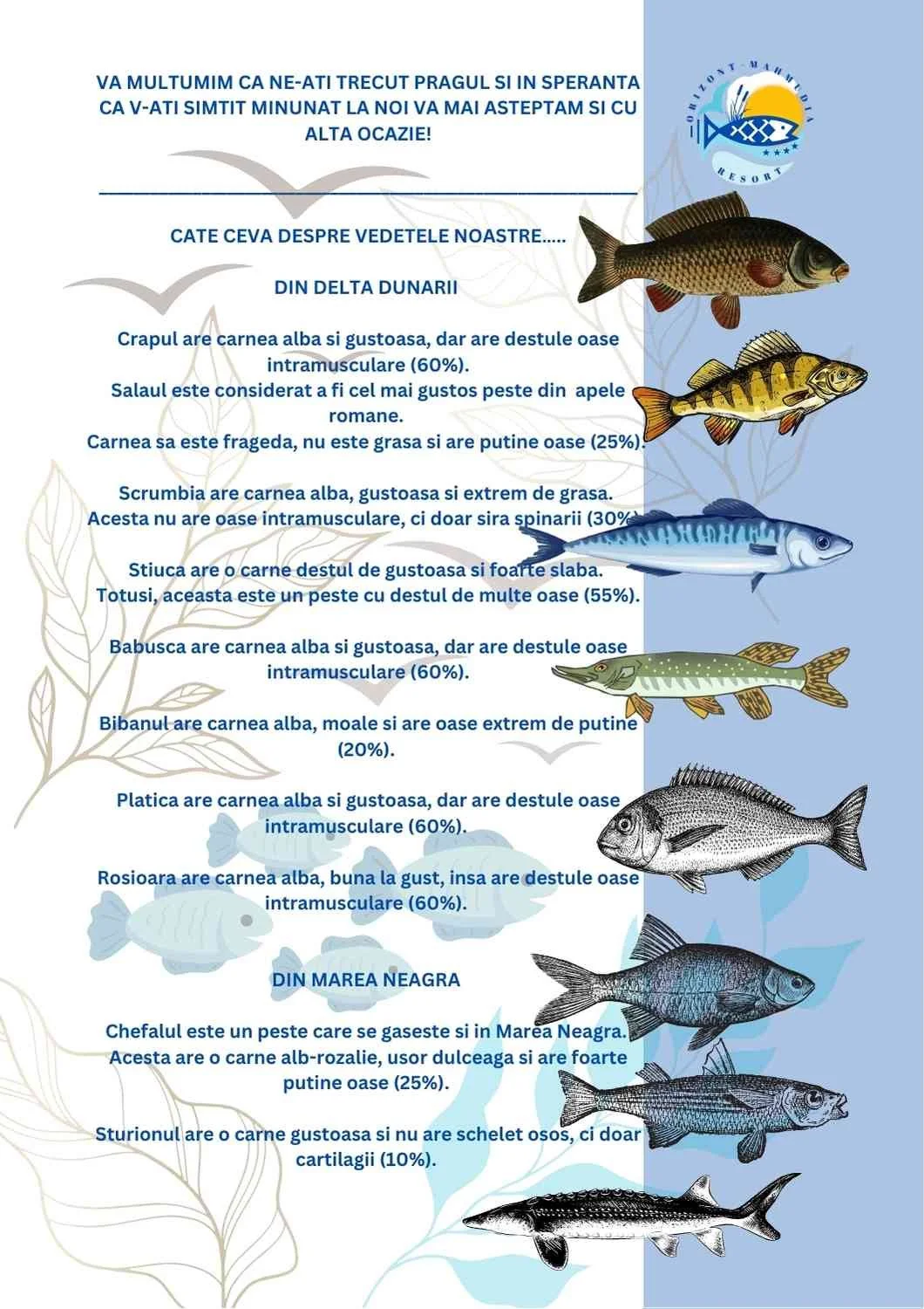 Informational poster about fish species found in the Danube River and the Black Sea, with images of different fish.