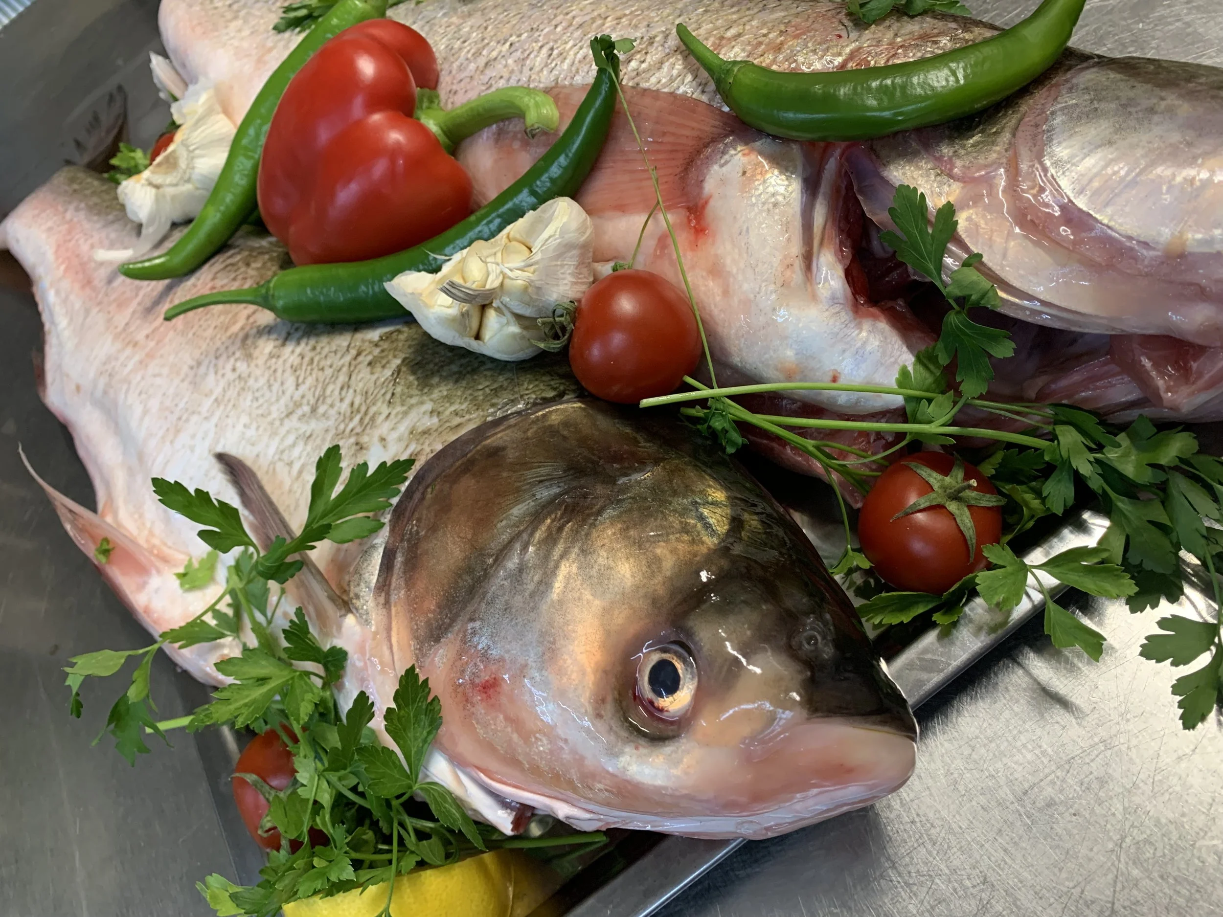 Fresh fish head and body surrounded by cherry tomatoes, green chili peppers, garlic, and parsley on a metal surface.