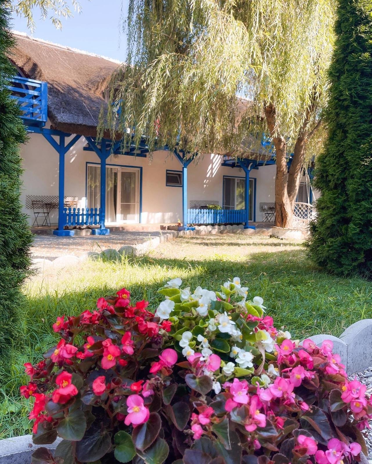 Colorful flowers growing in a garden with a house featuring blue trim, trees, and a grass lawn in the background.