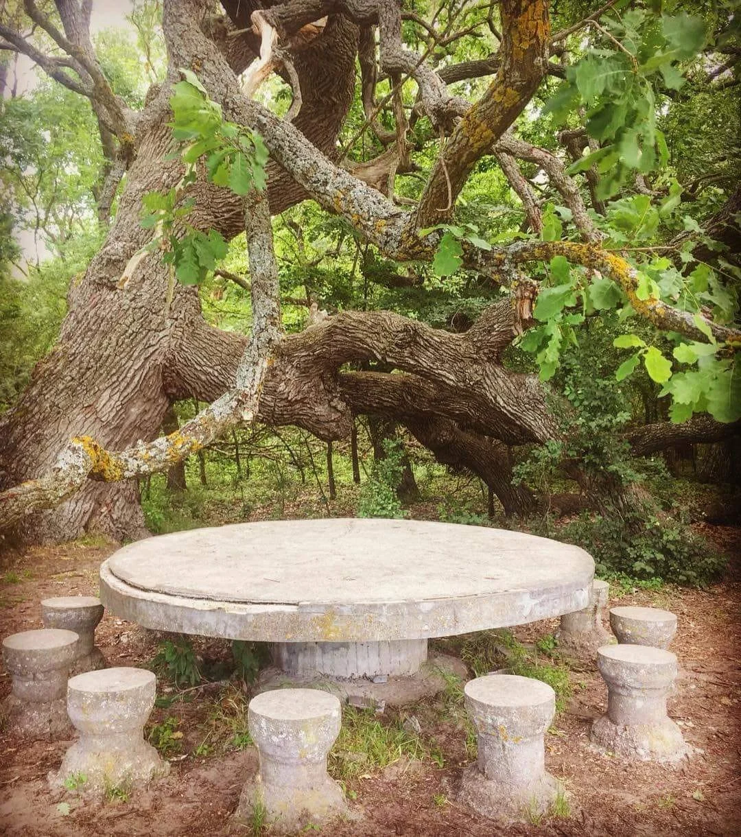 A large round stone table with matching stone stools around it, set outdoors under a big, sprawling tree with green leaves.