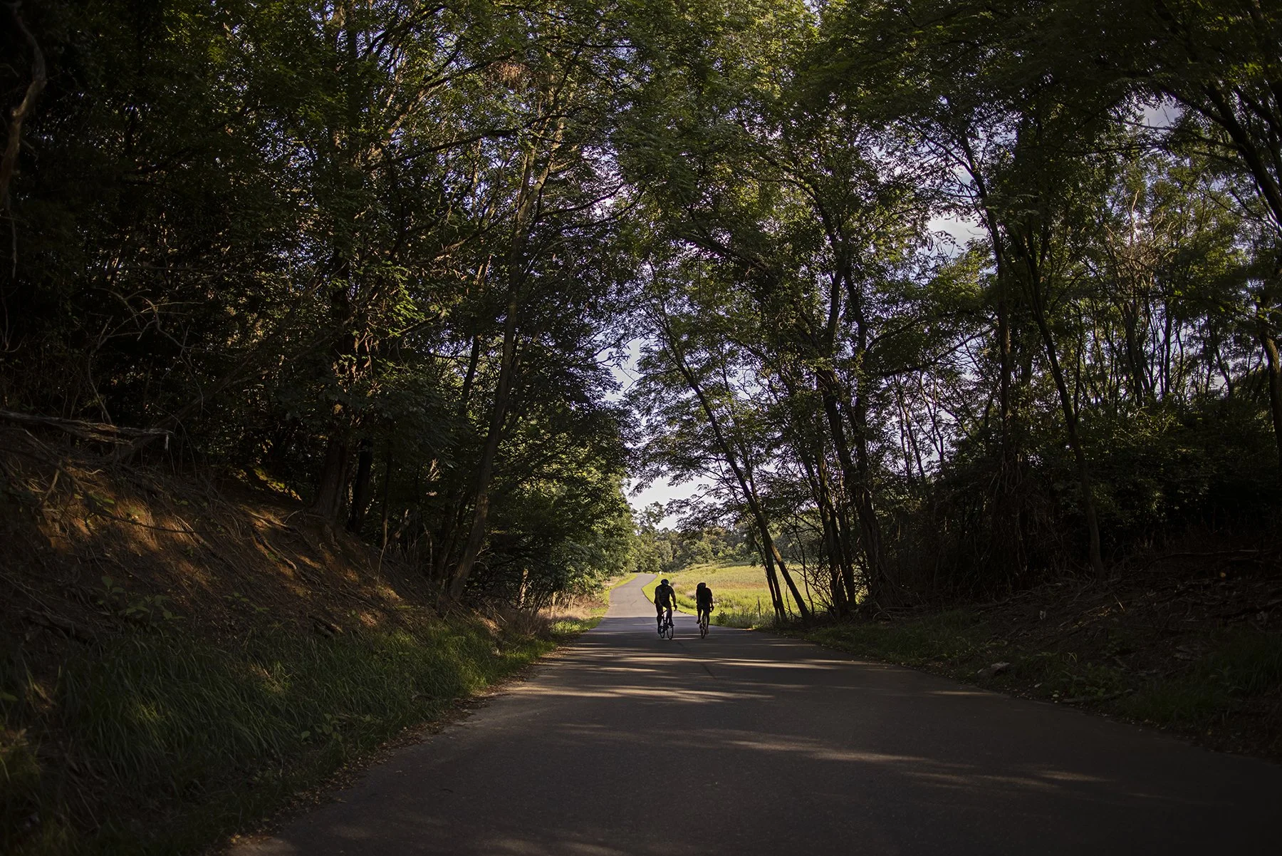 AF_23_DE_864 copy.jpg