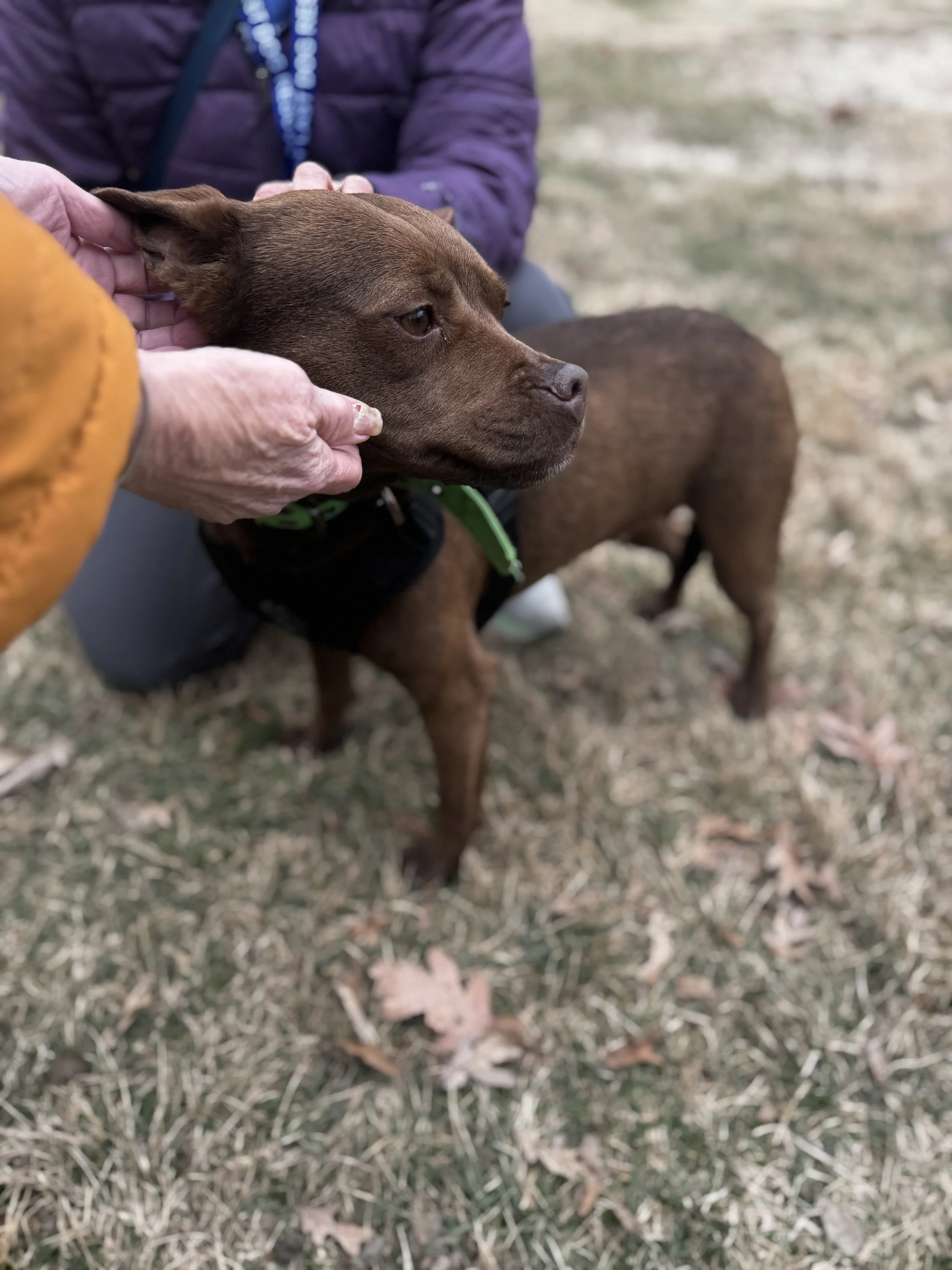 Photo Mar 15 2026, 1 49 06 PM.jpg