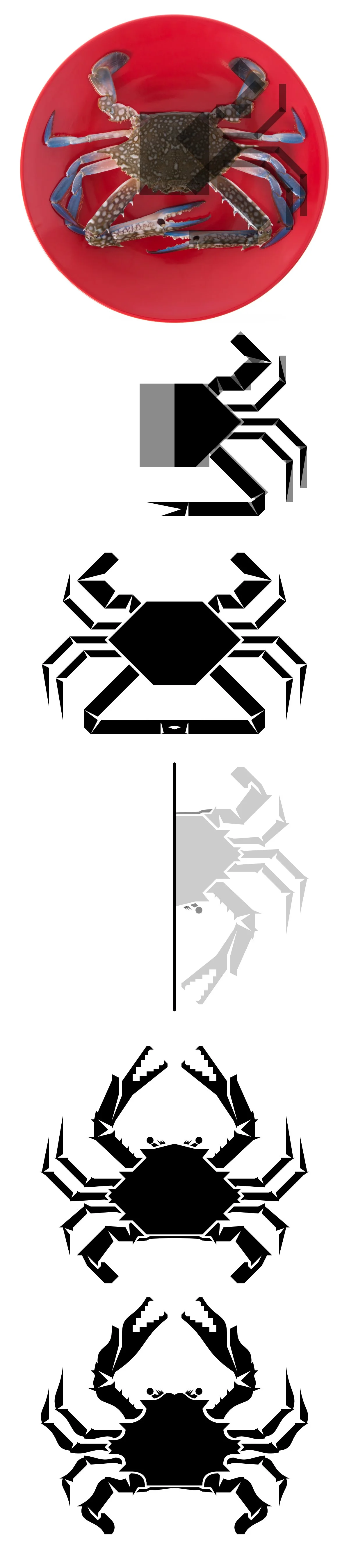Process of creating the crab illustration.