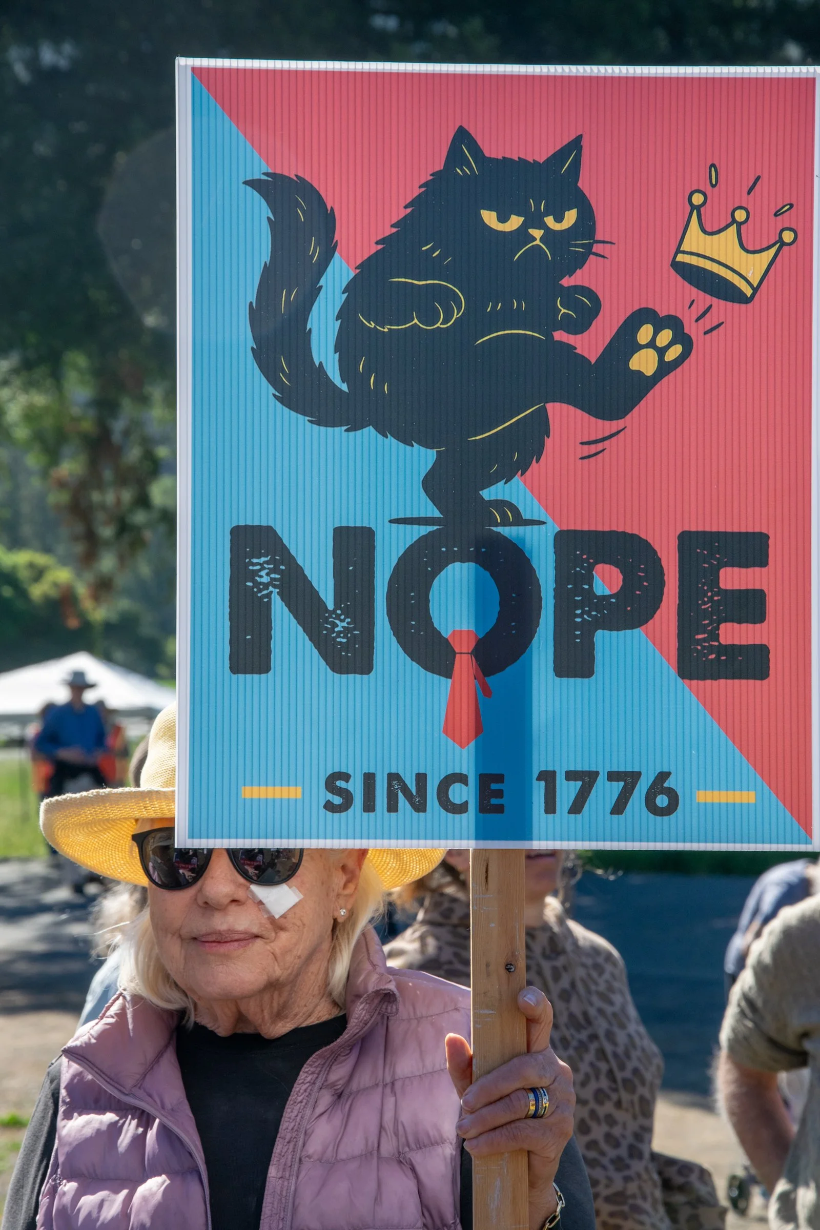 No Kings Rally #3 San Geroimo Valley-0127.jpg