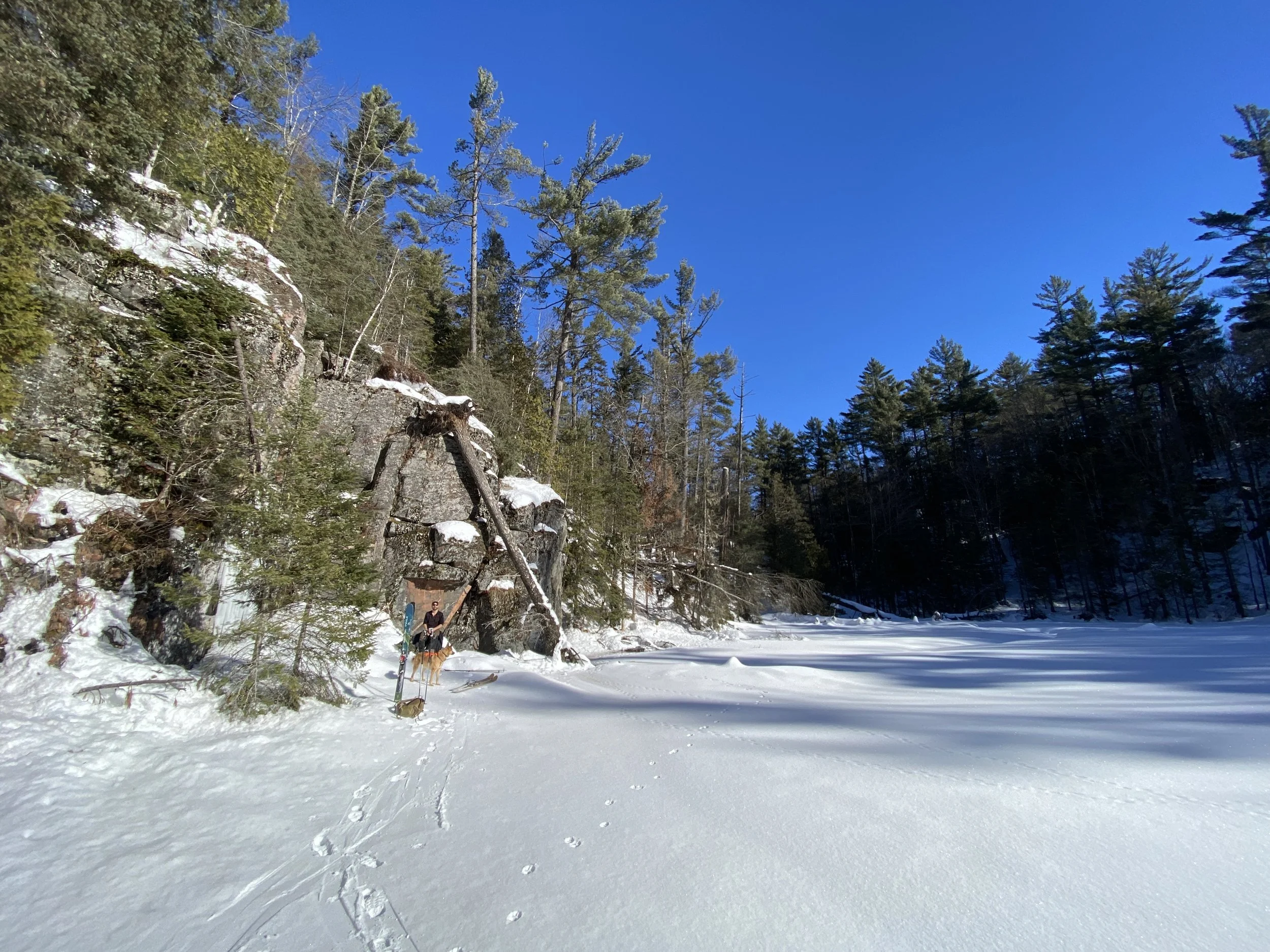 A person standing in a snowy landscape with a dog, surrounded by tall pine trees and large rocks under a clear blue sky.