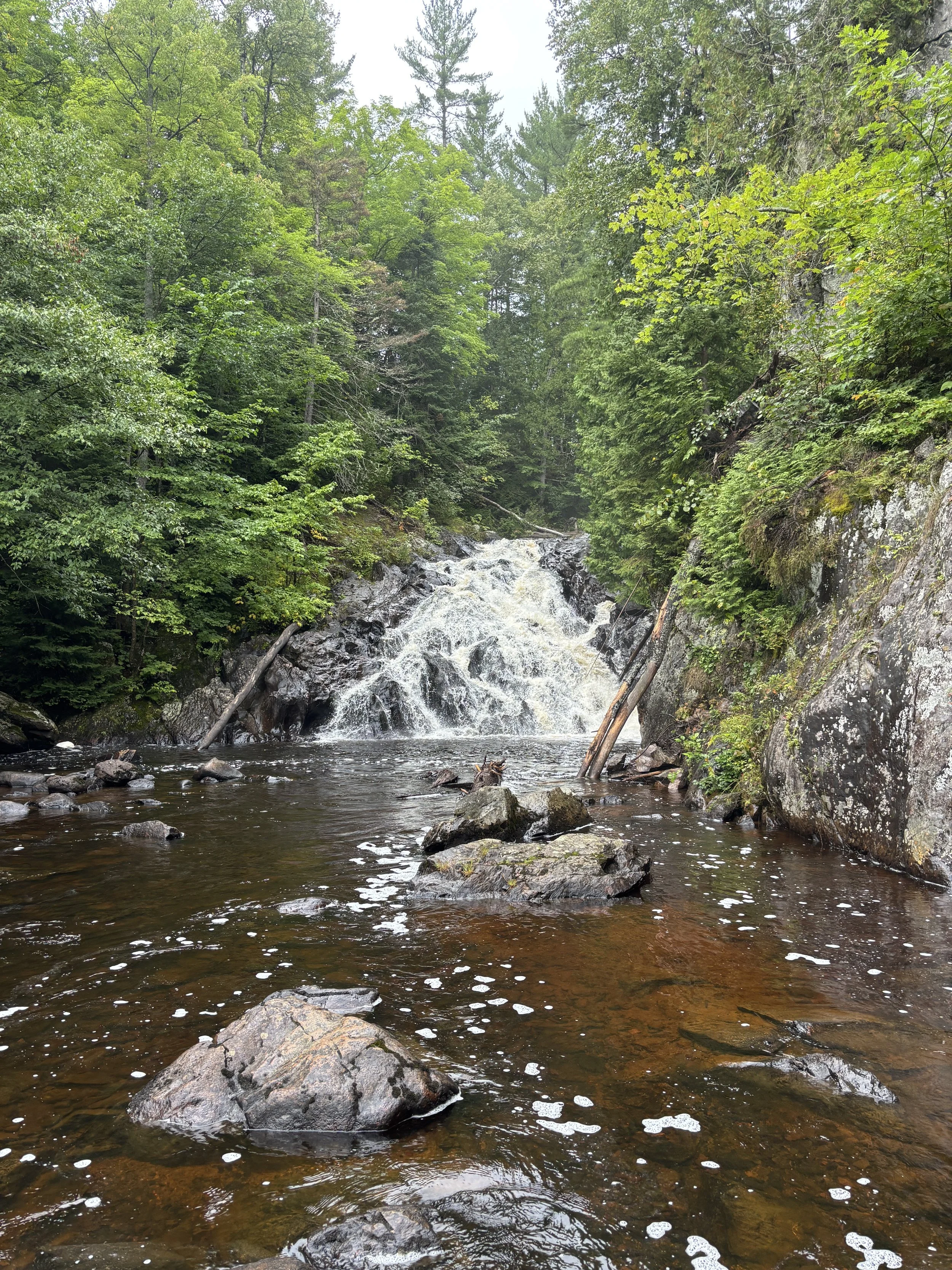 A lush green forest with a rocks, and a waterfall flowing into a small river.